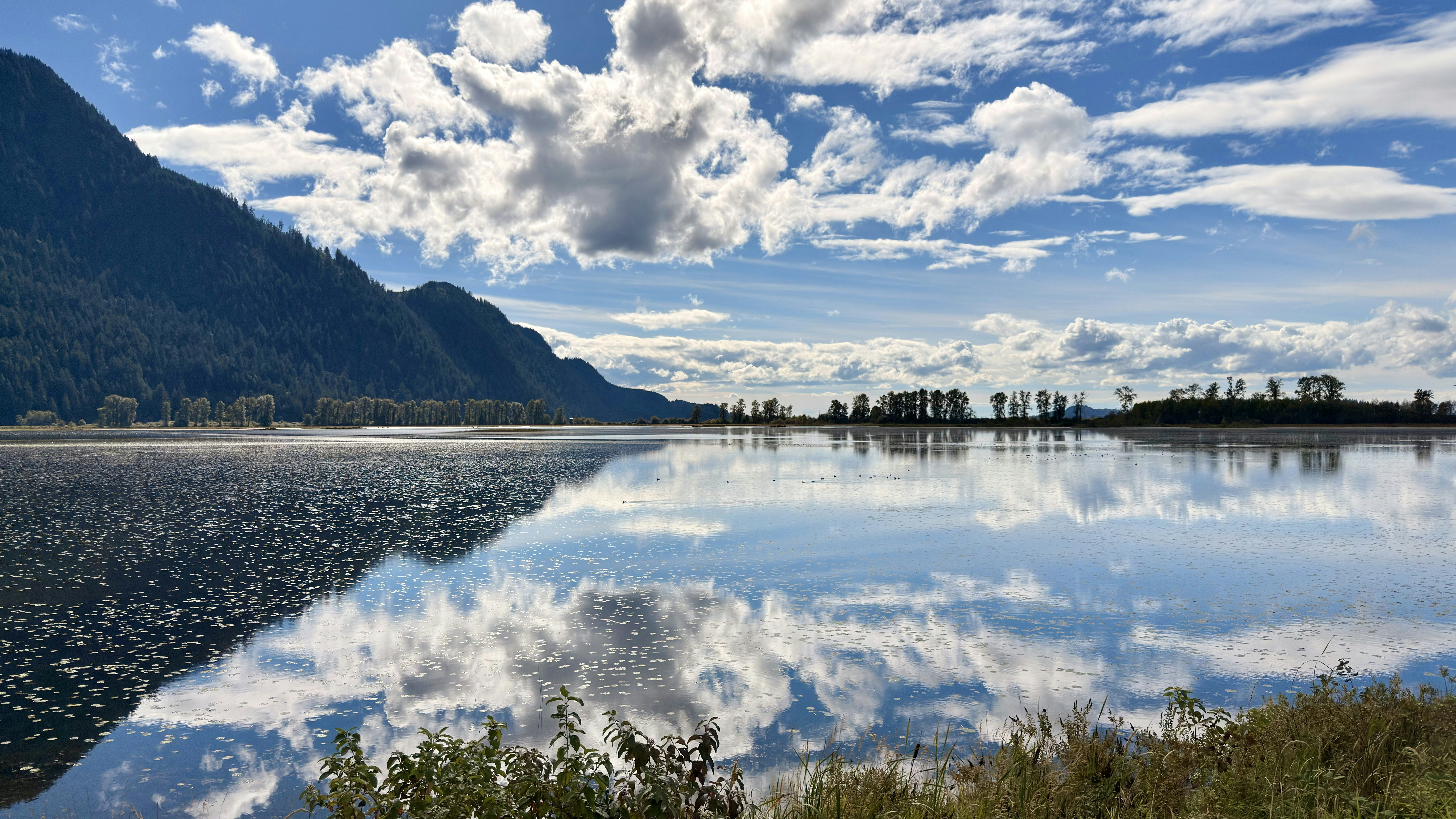 Photo by occasionalclicks