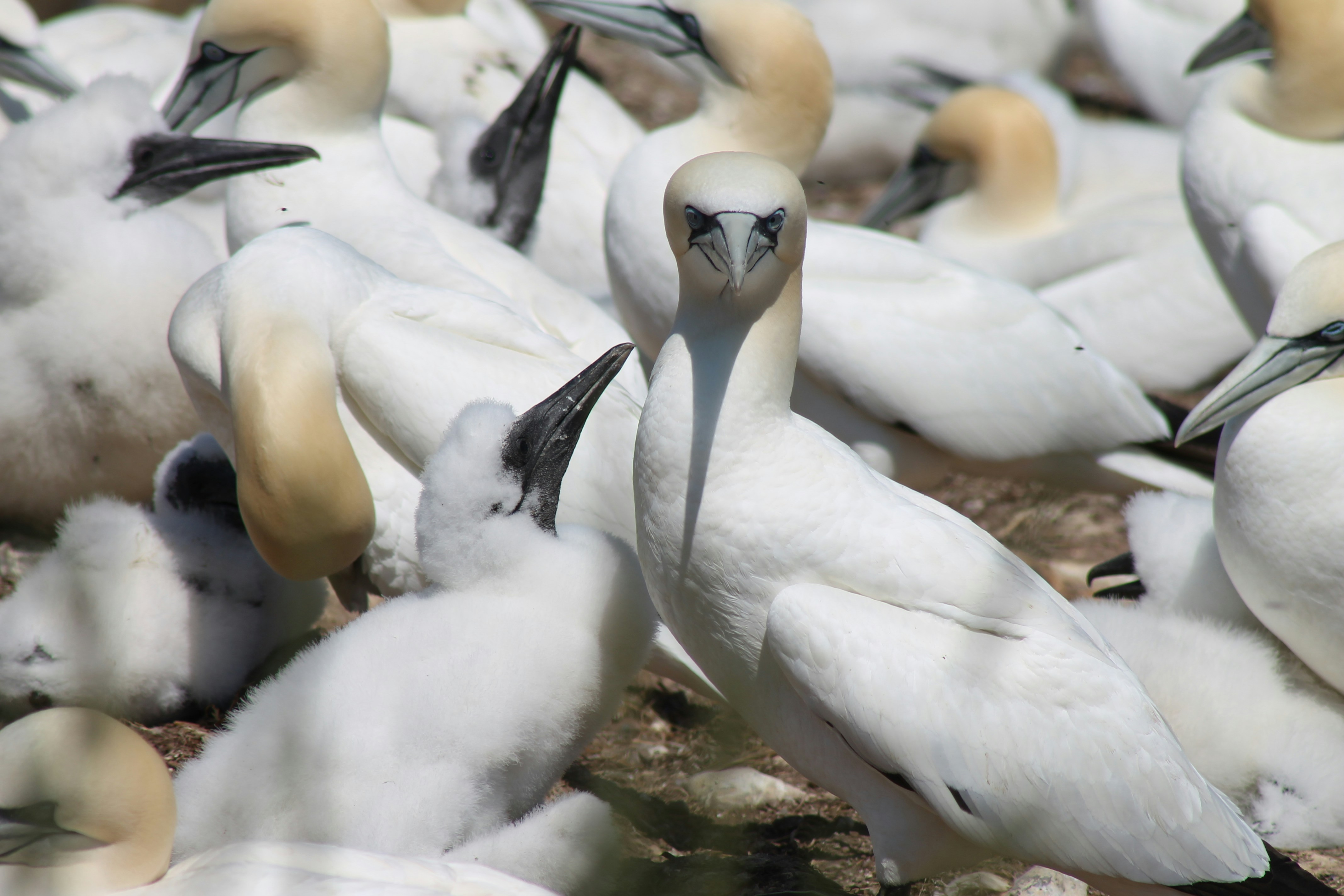 Photo by xavier_hamel