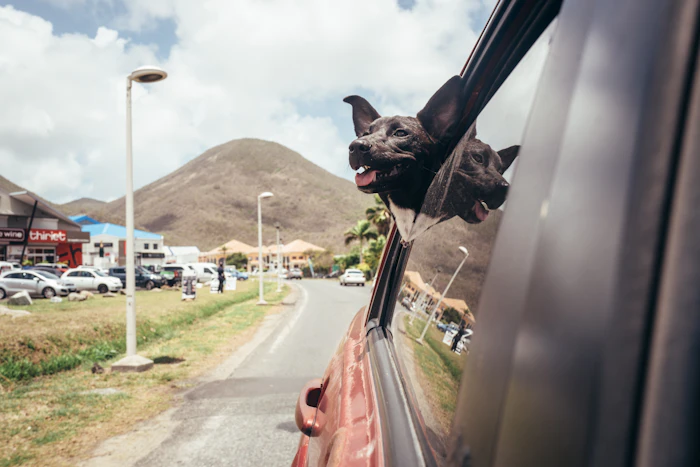 Travel & new places