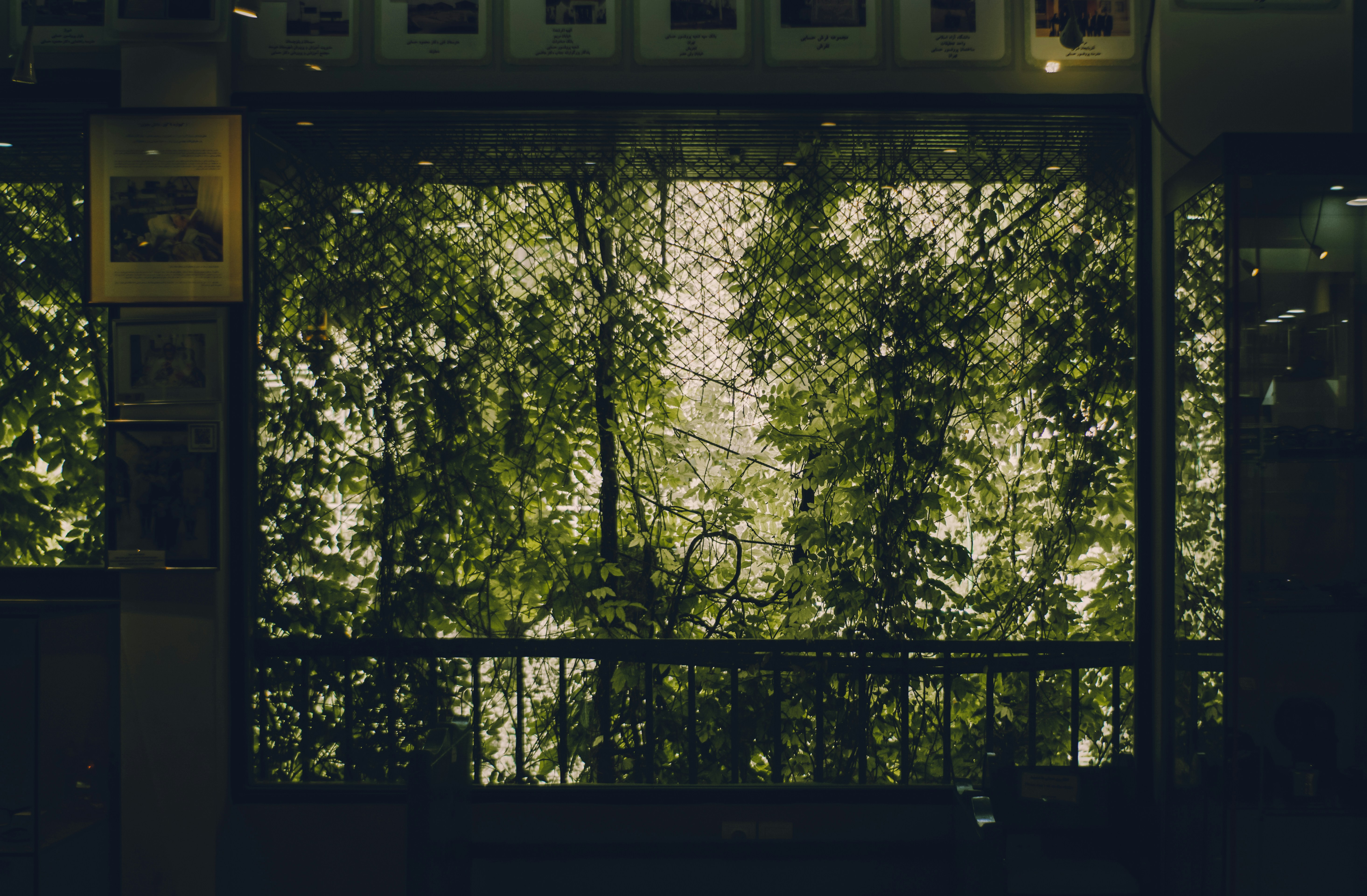 Photo by mdrezajalali