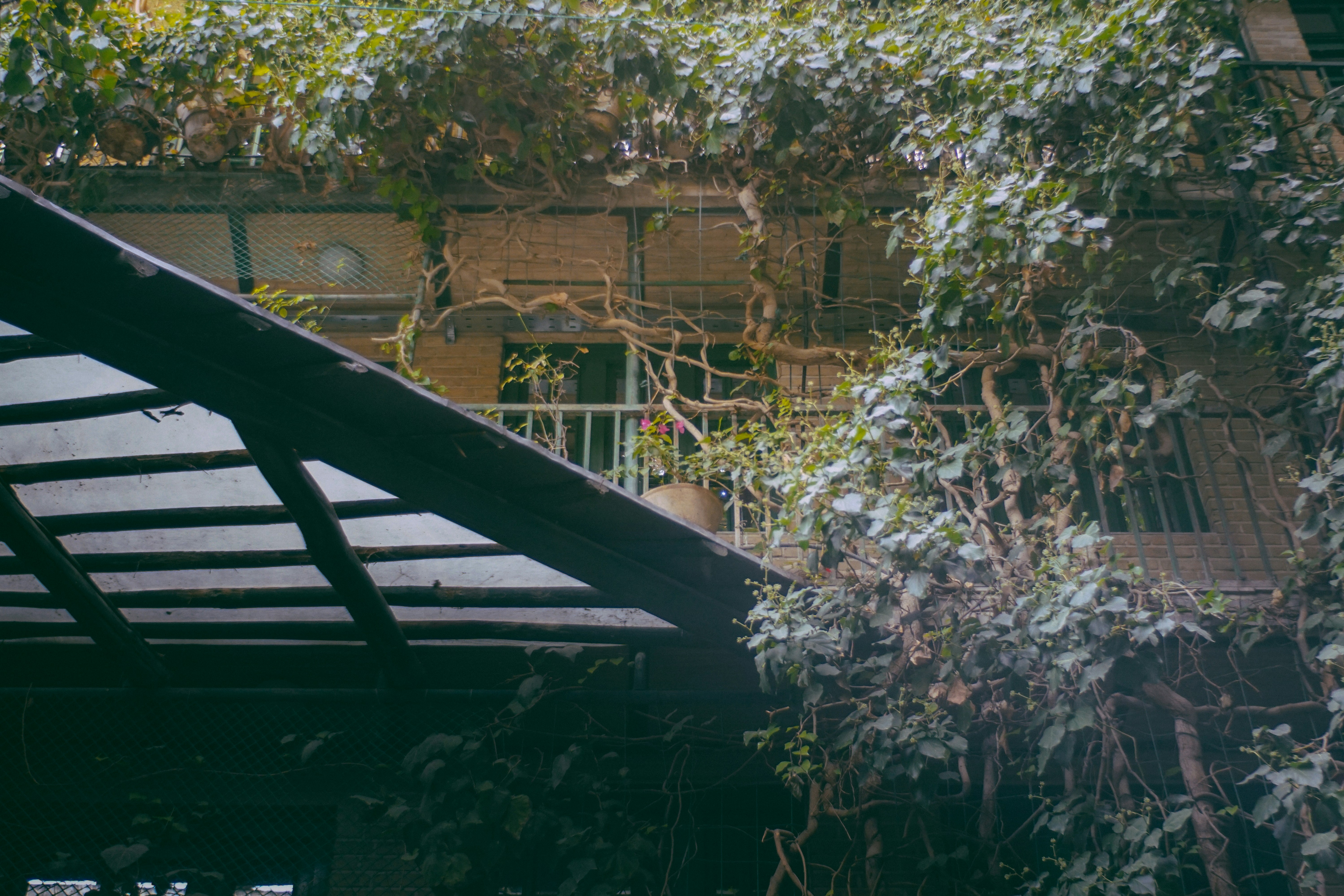 Photo by mdrezajalali