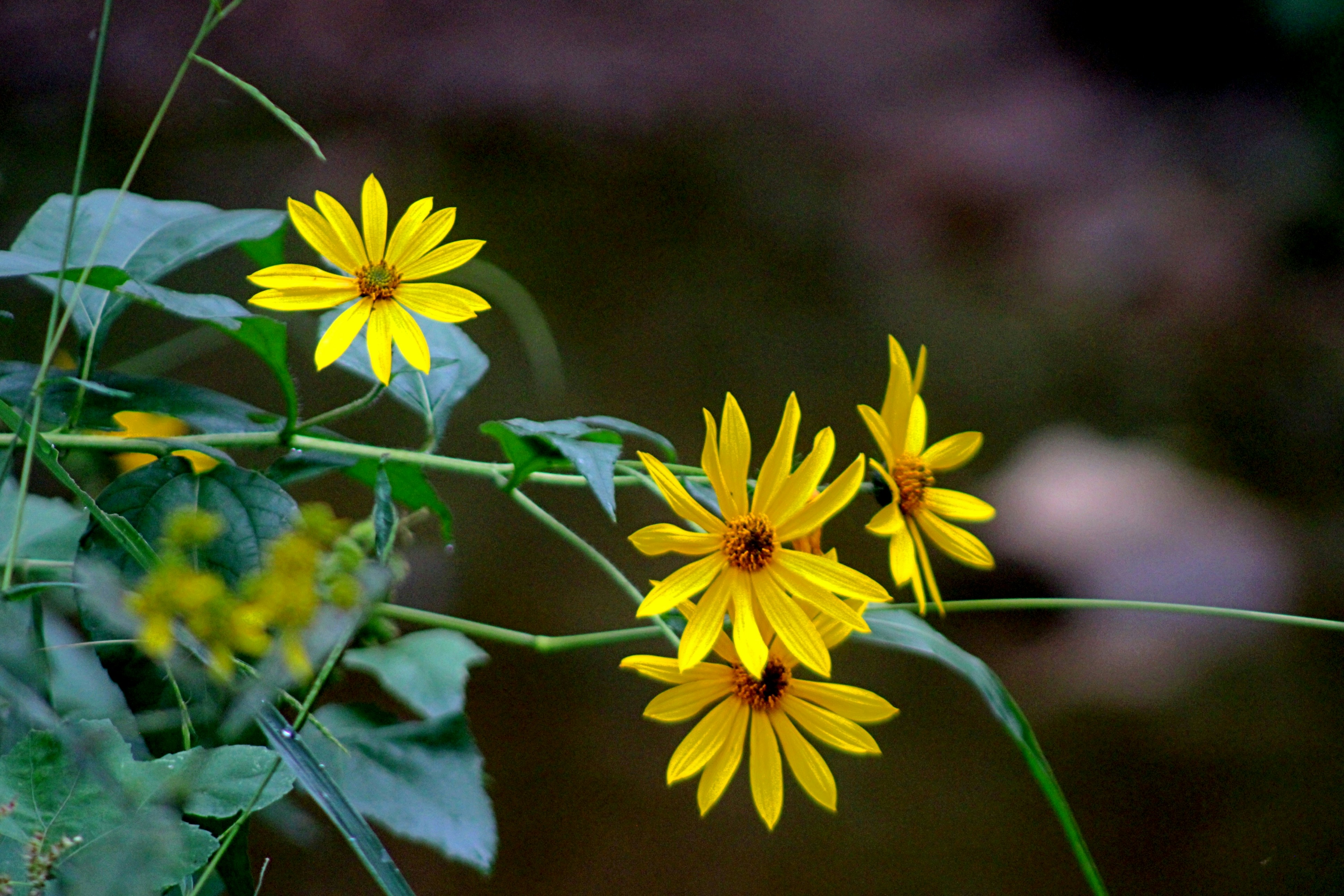 Photo by charles_ray