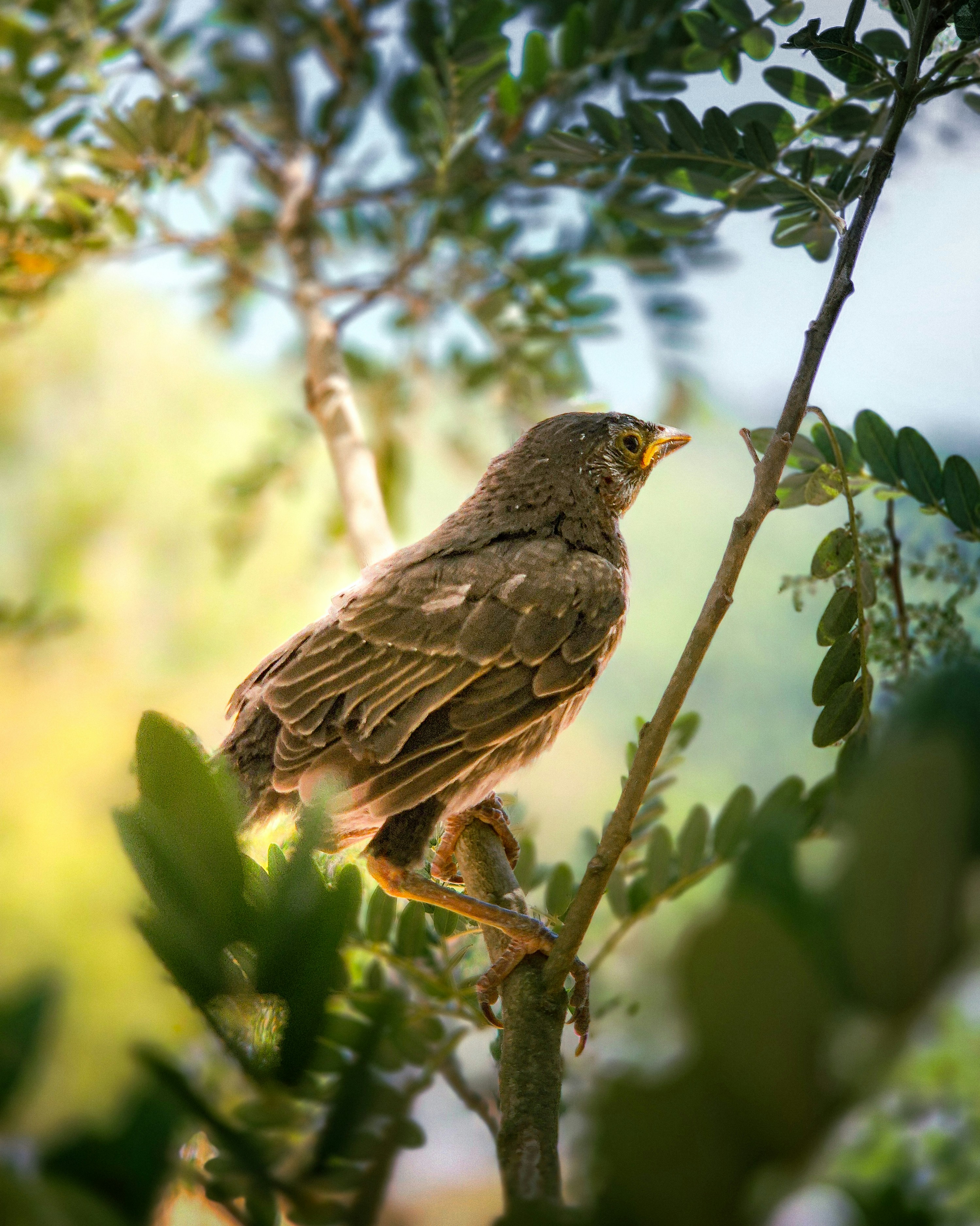 Photo by framedmomentslab