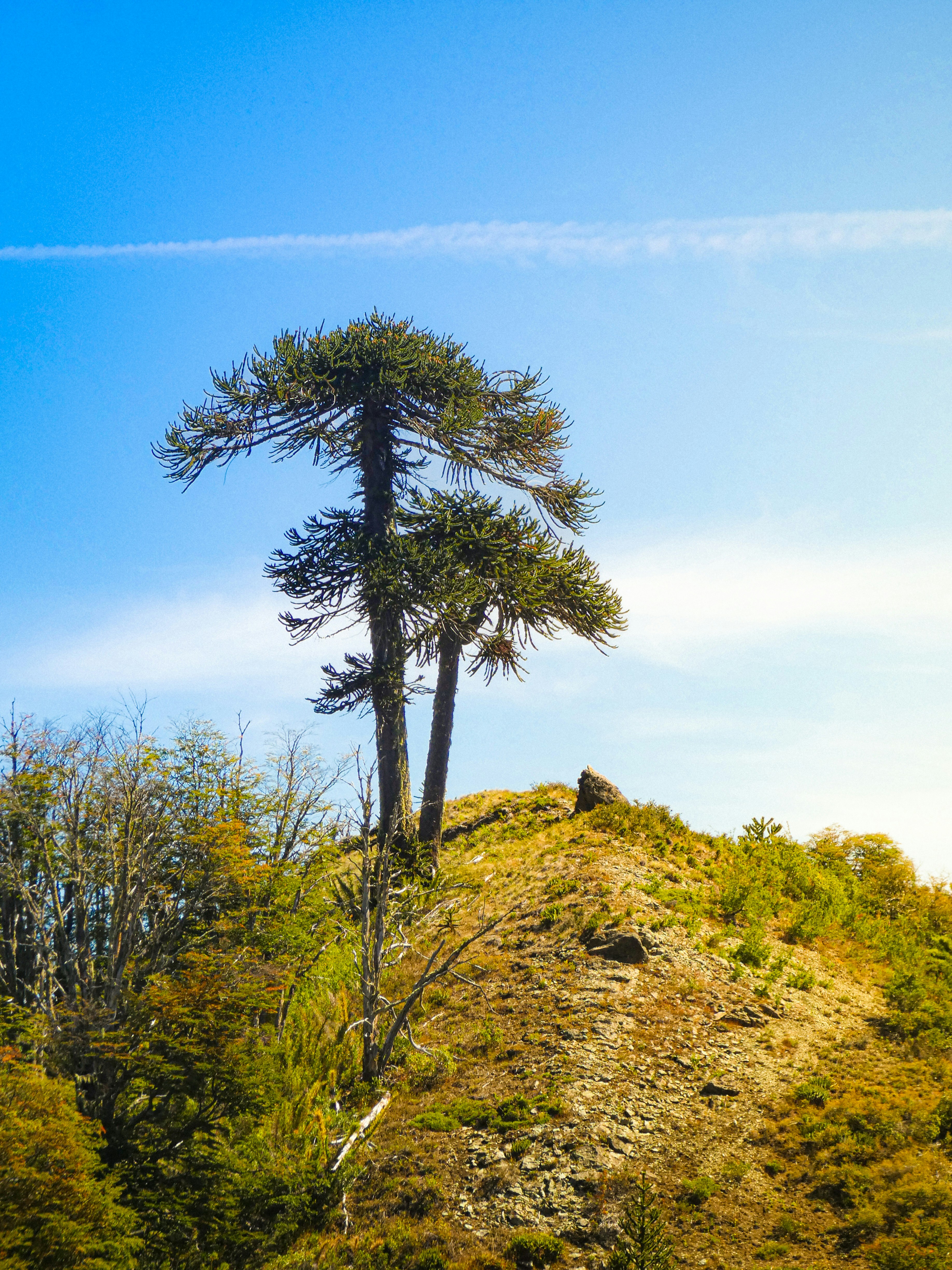 Photo by framedmomentslab