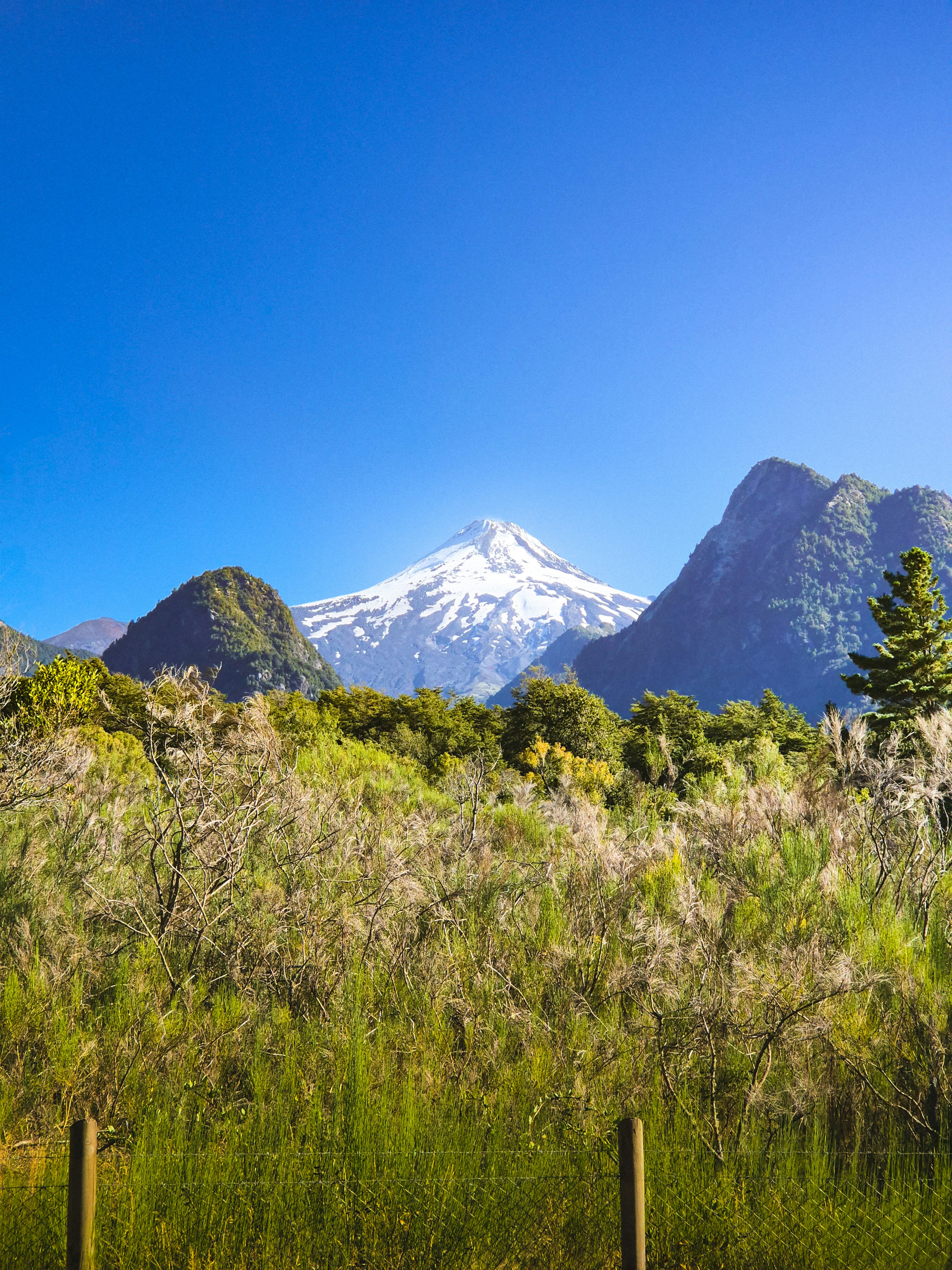 Photo by framedmomentslab