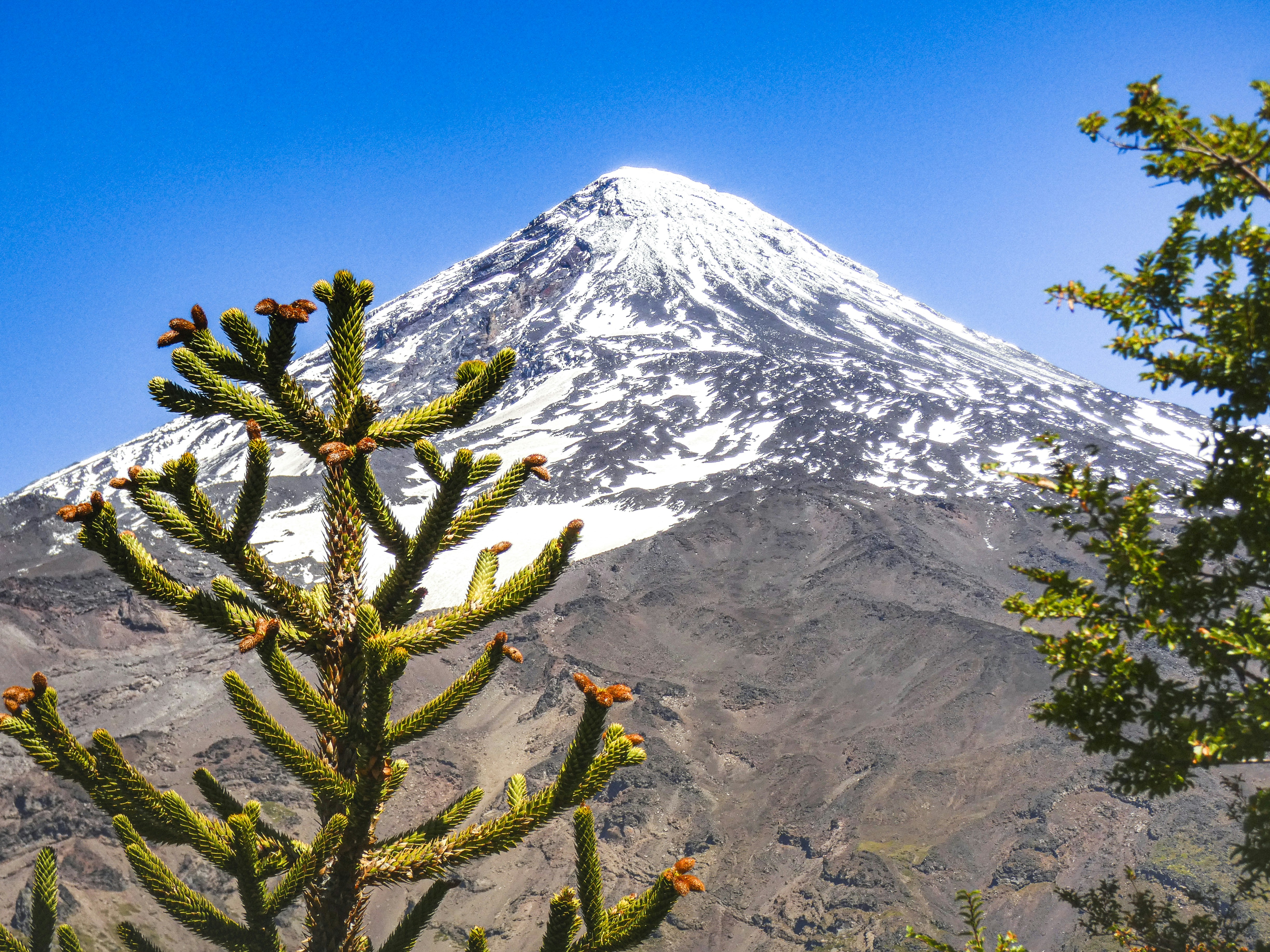 Photo by framedmomentslab