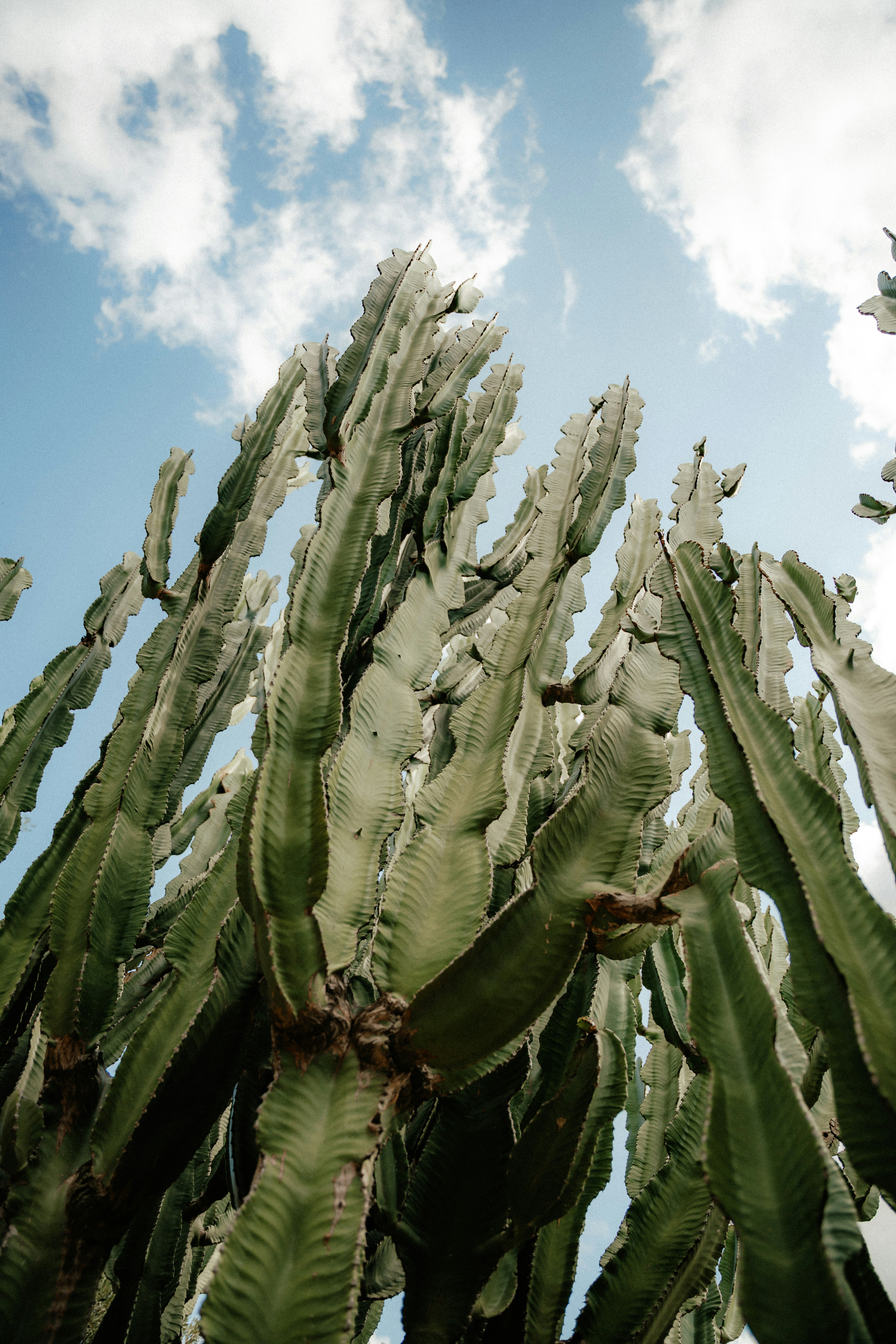 Photo by luiseandnic