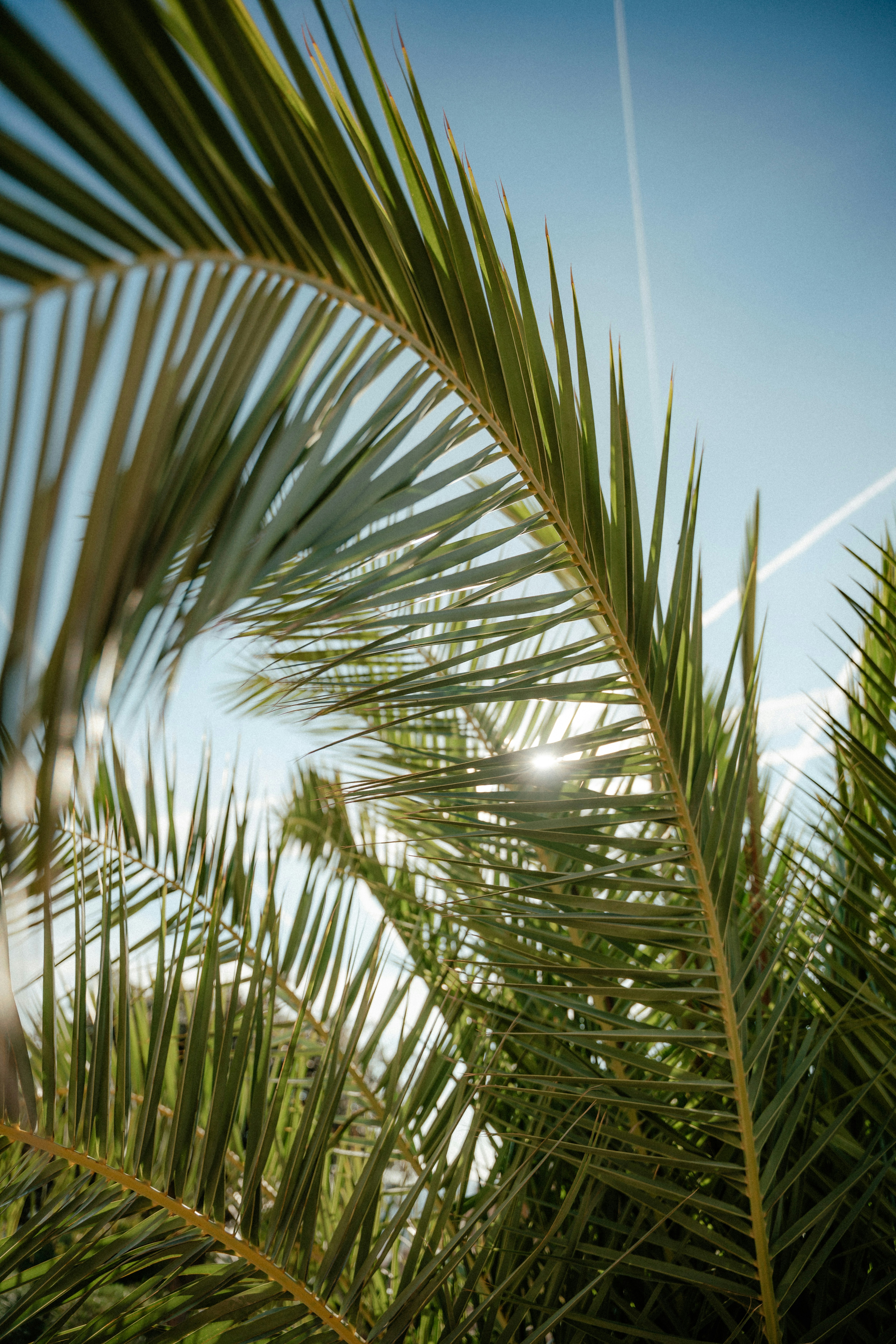 Photo by luiseandnic