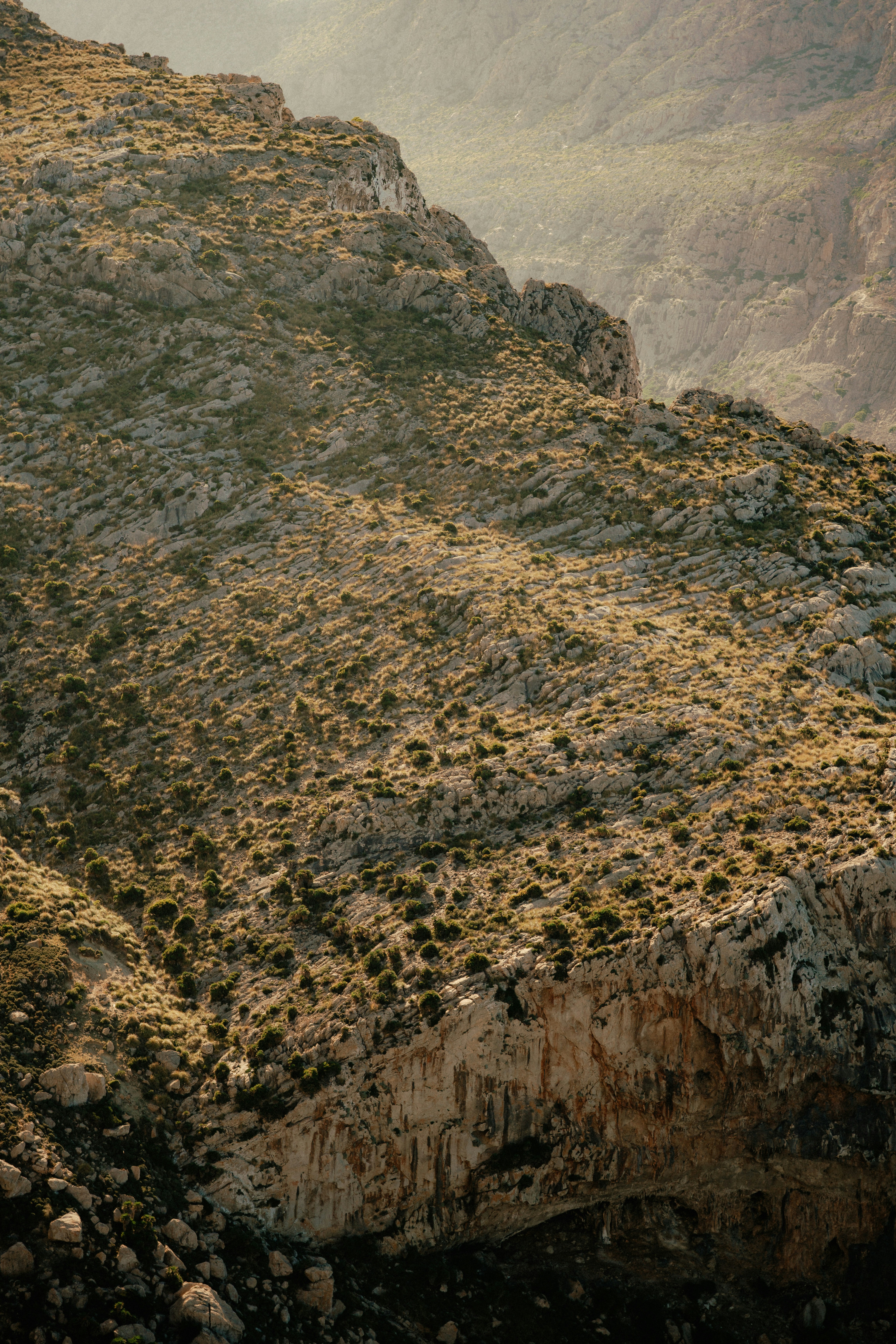 Photo by luiseandnic