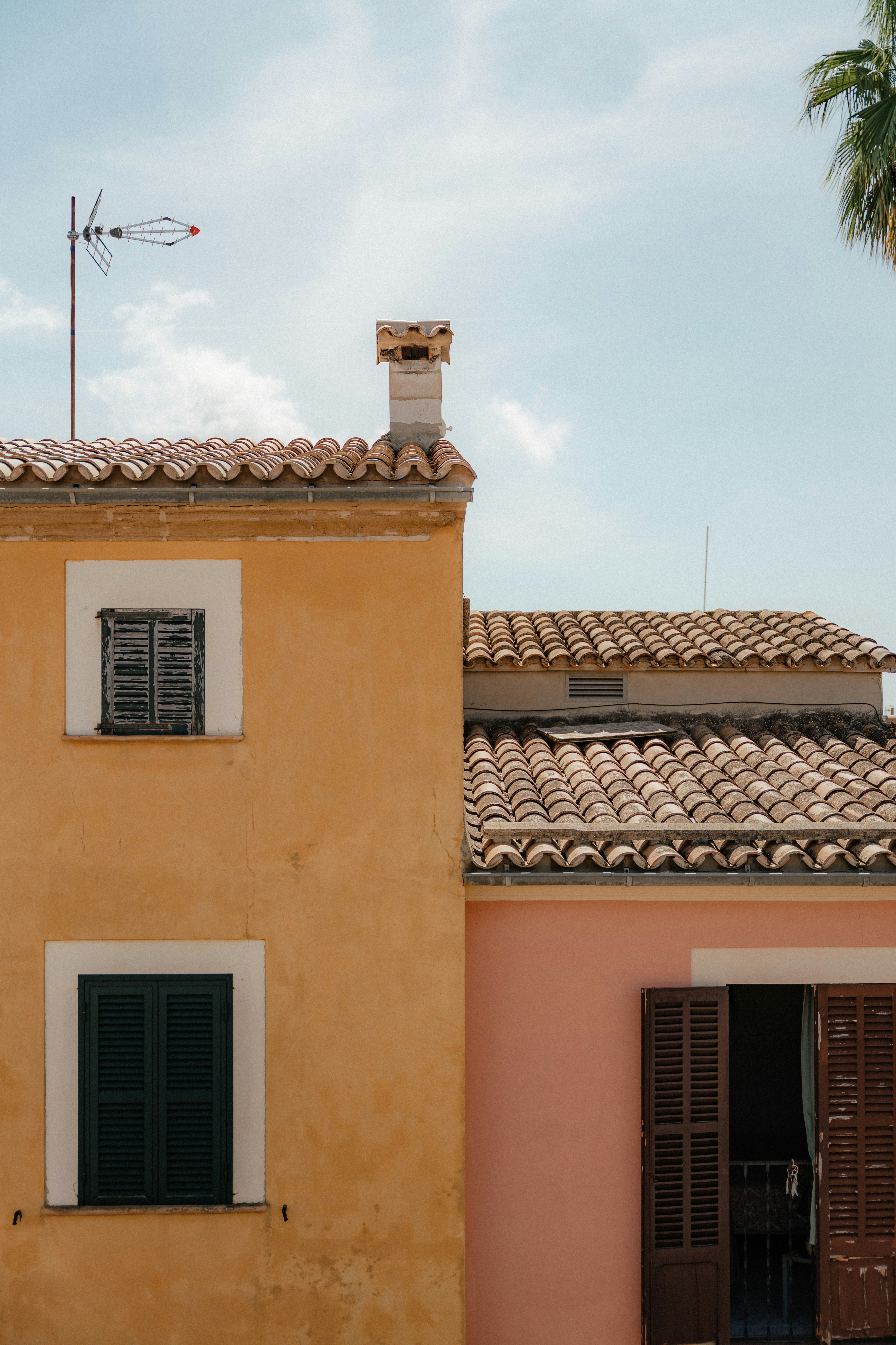 Photo by luiseandnic