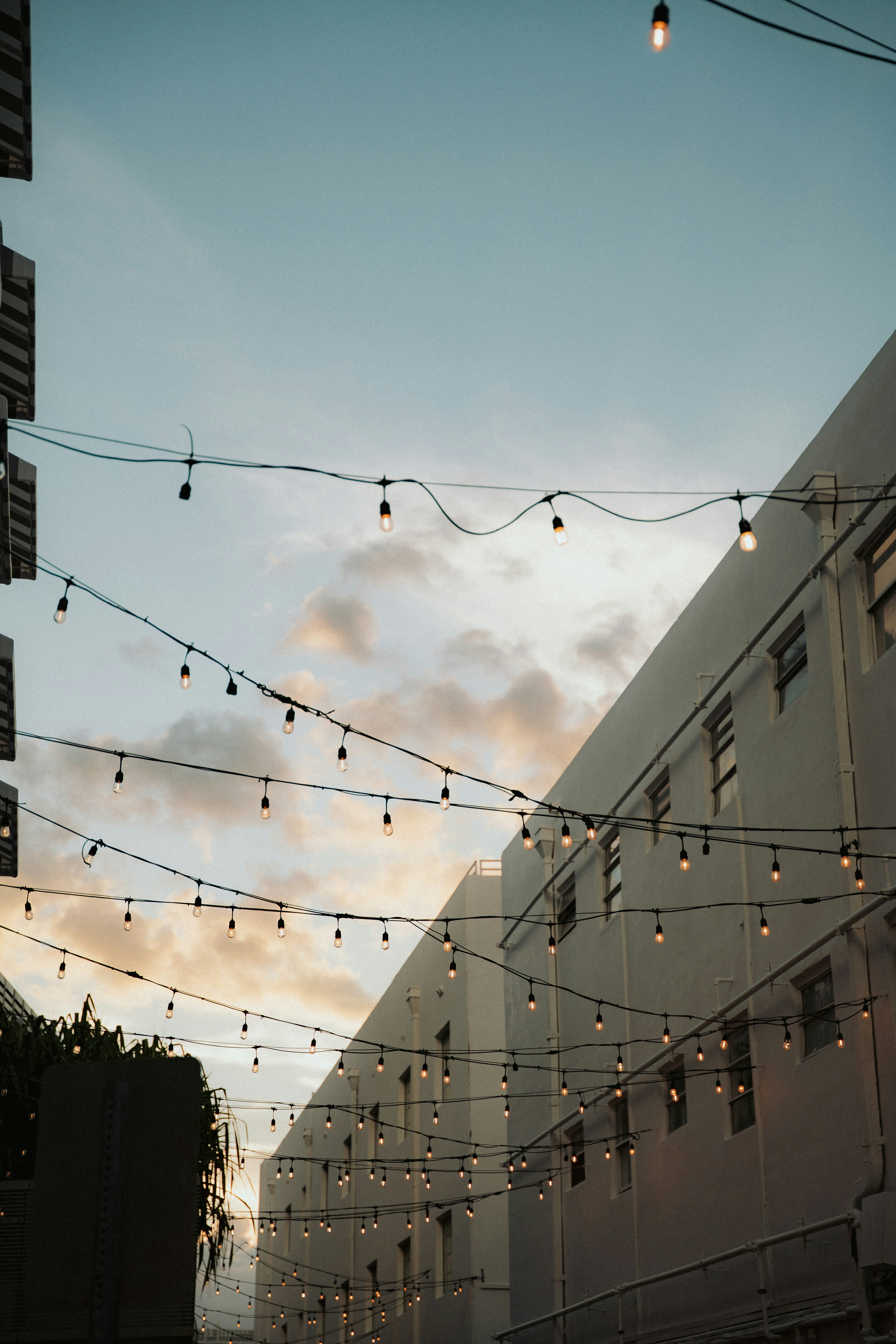 Photo by luiseandnic