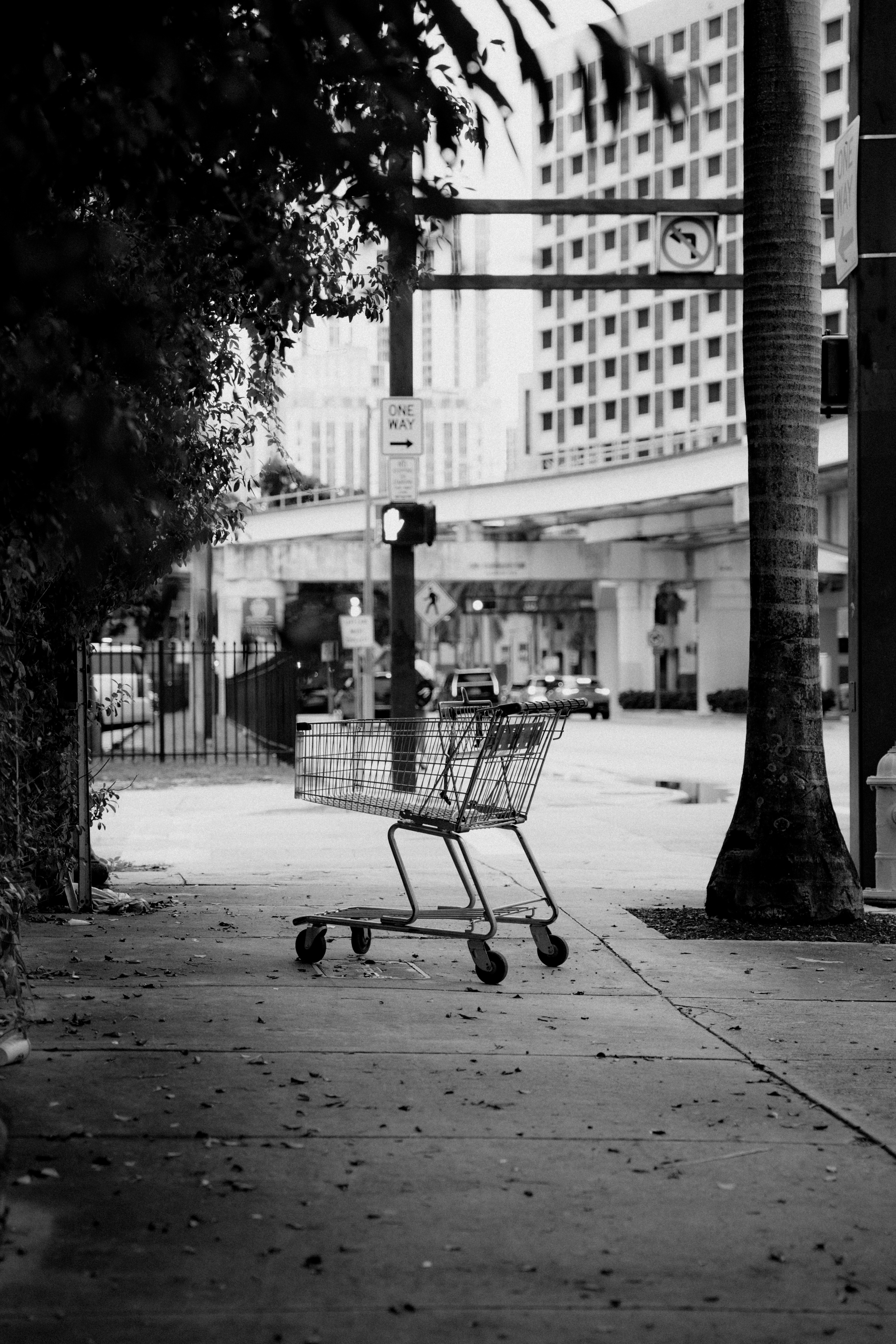 Photo by luiseandnic