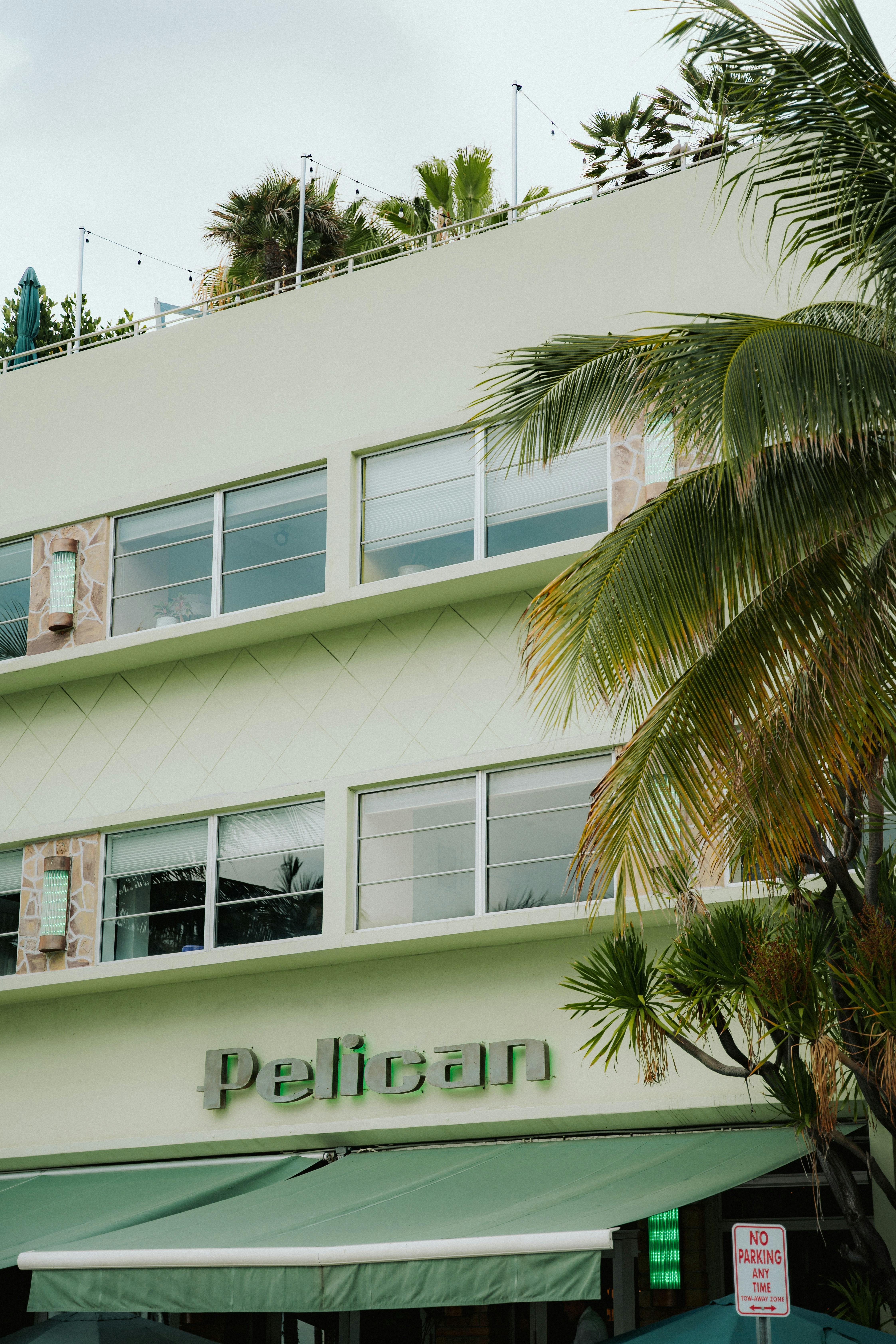 Light green building with "pelican" sign and palm tree