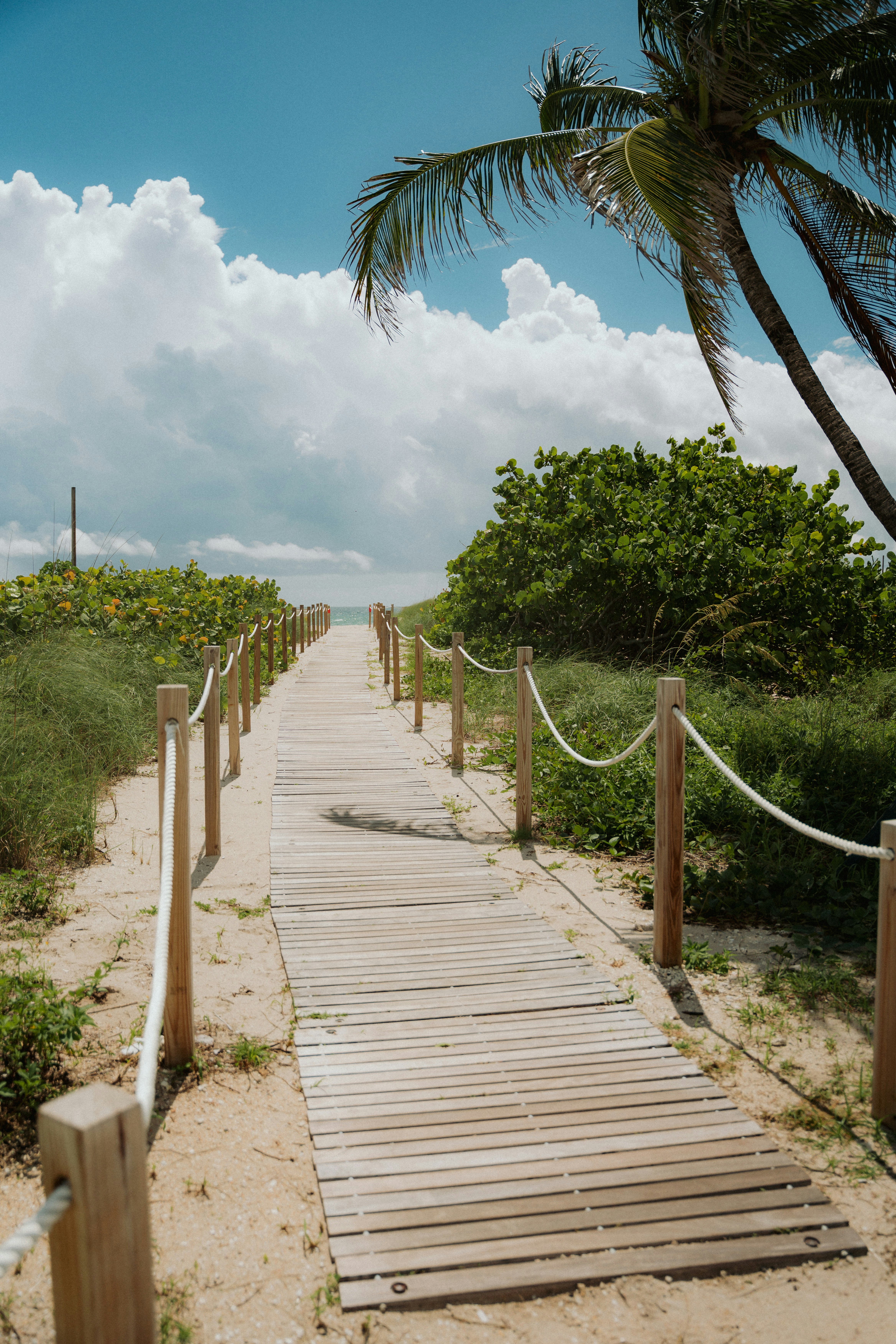 Photo by luiseandnic