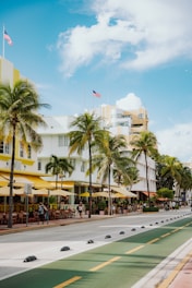 Palm trees line a sunny street with white buildings.