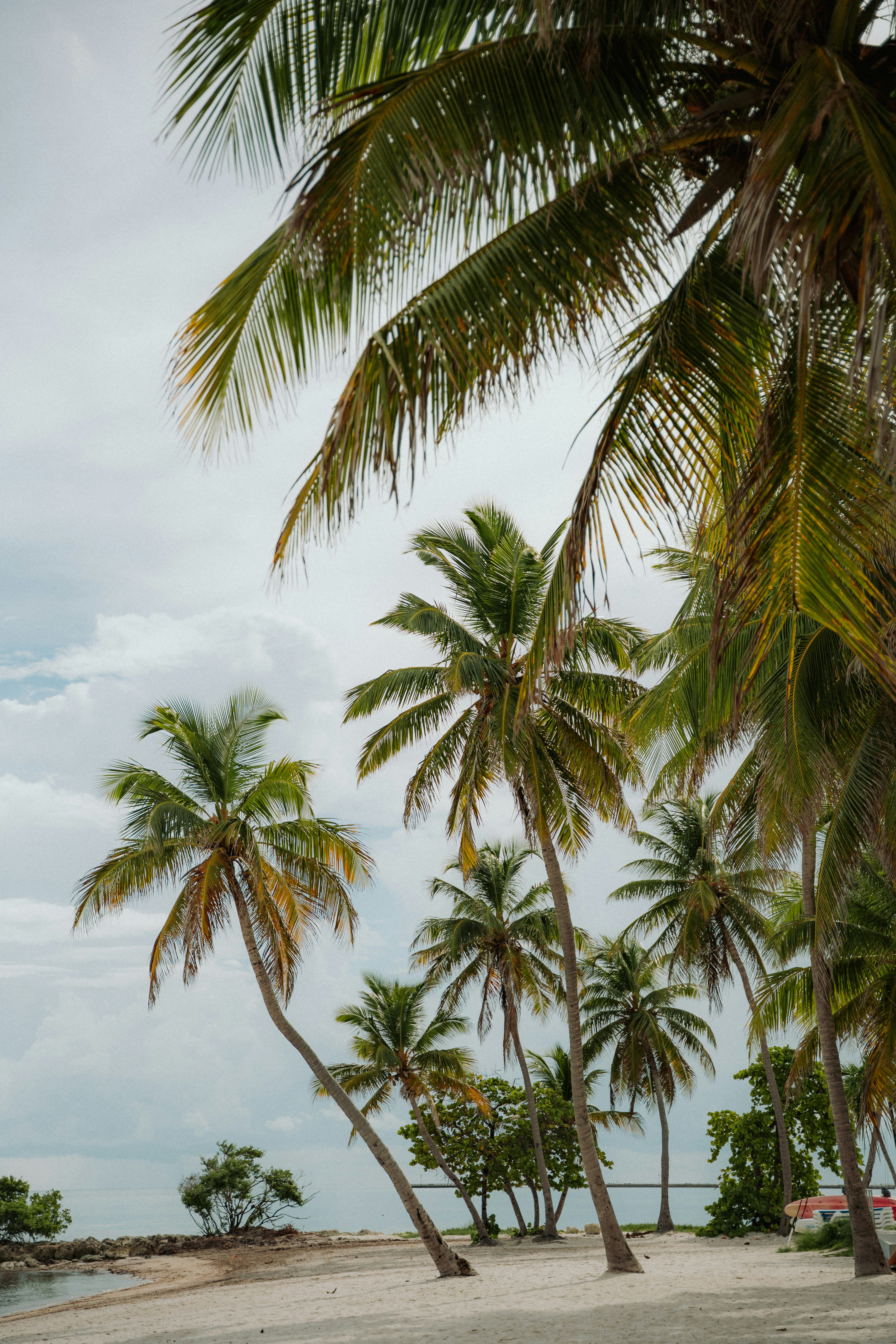 Photo by luiseandnic