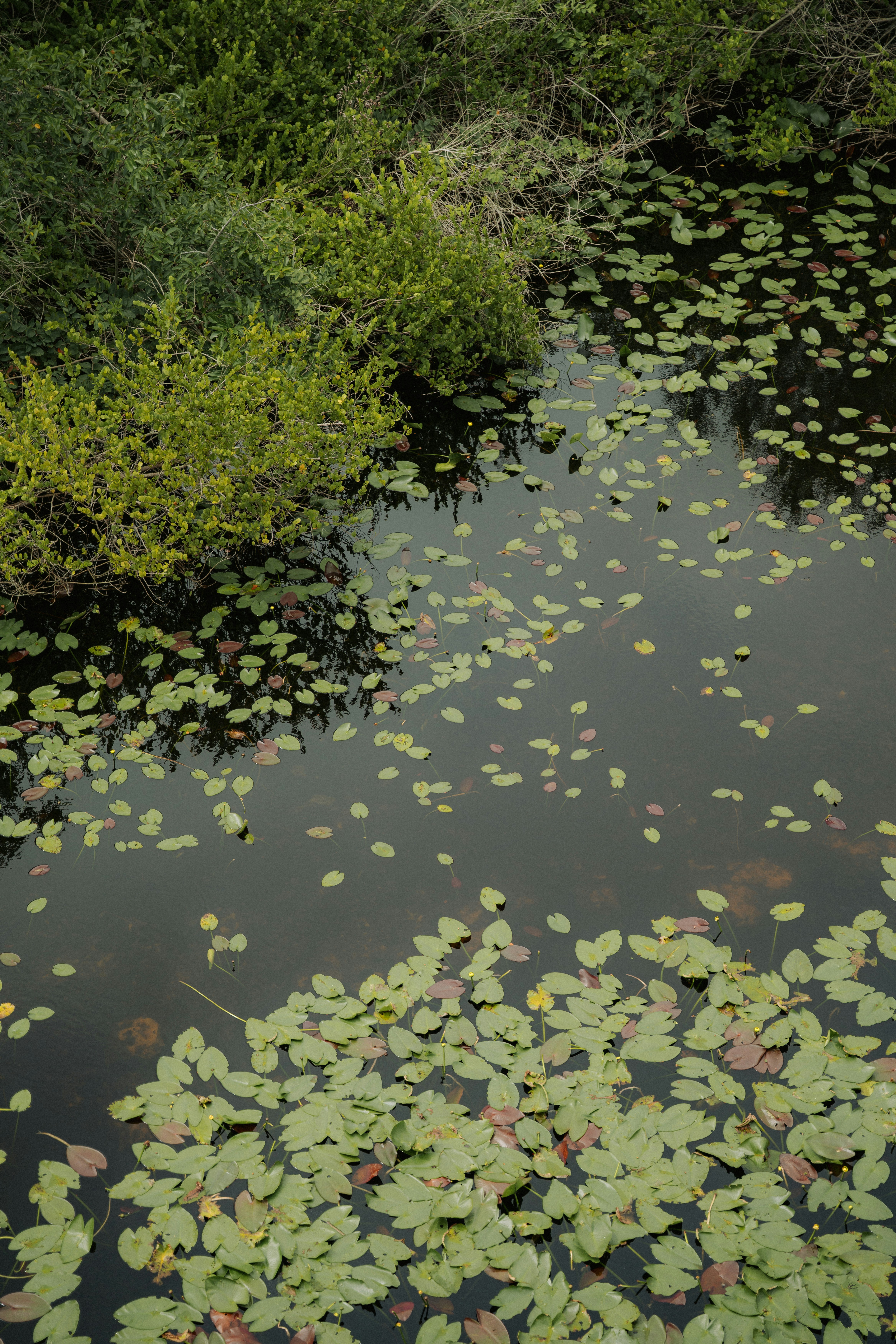 Photo by luiseandnic