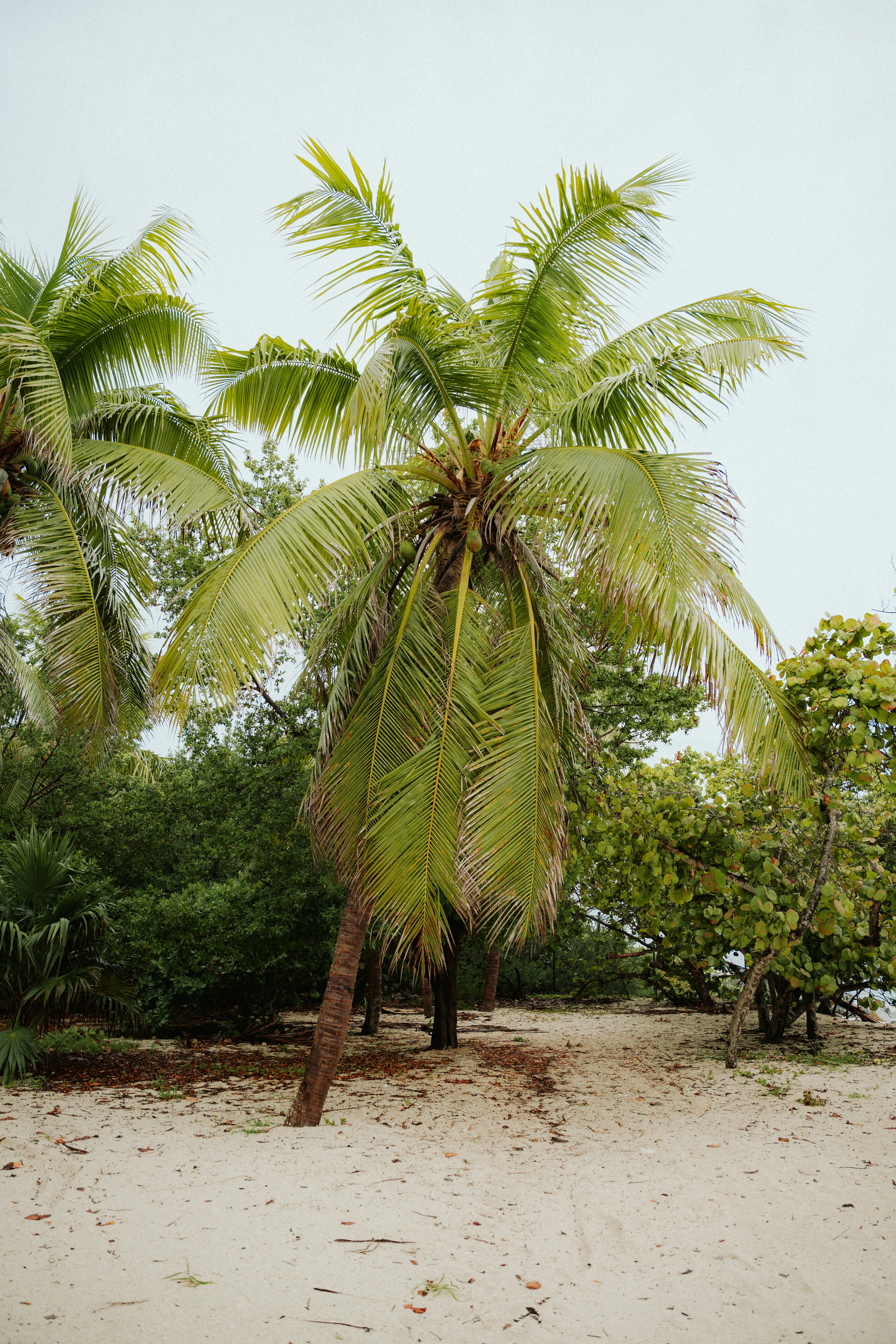 Photo by luiseandnic