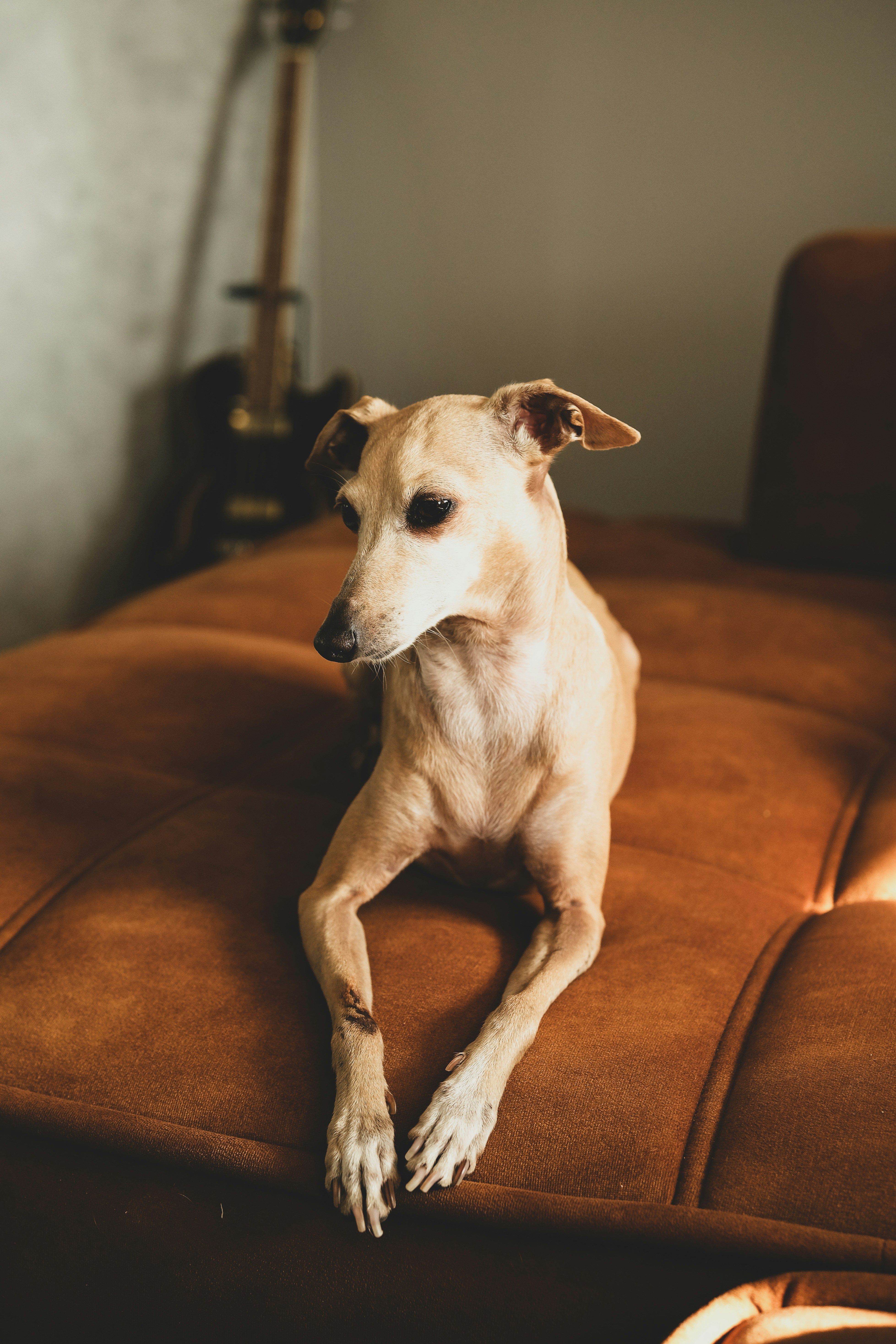 Photo by belettenoir