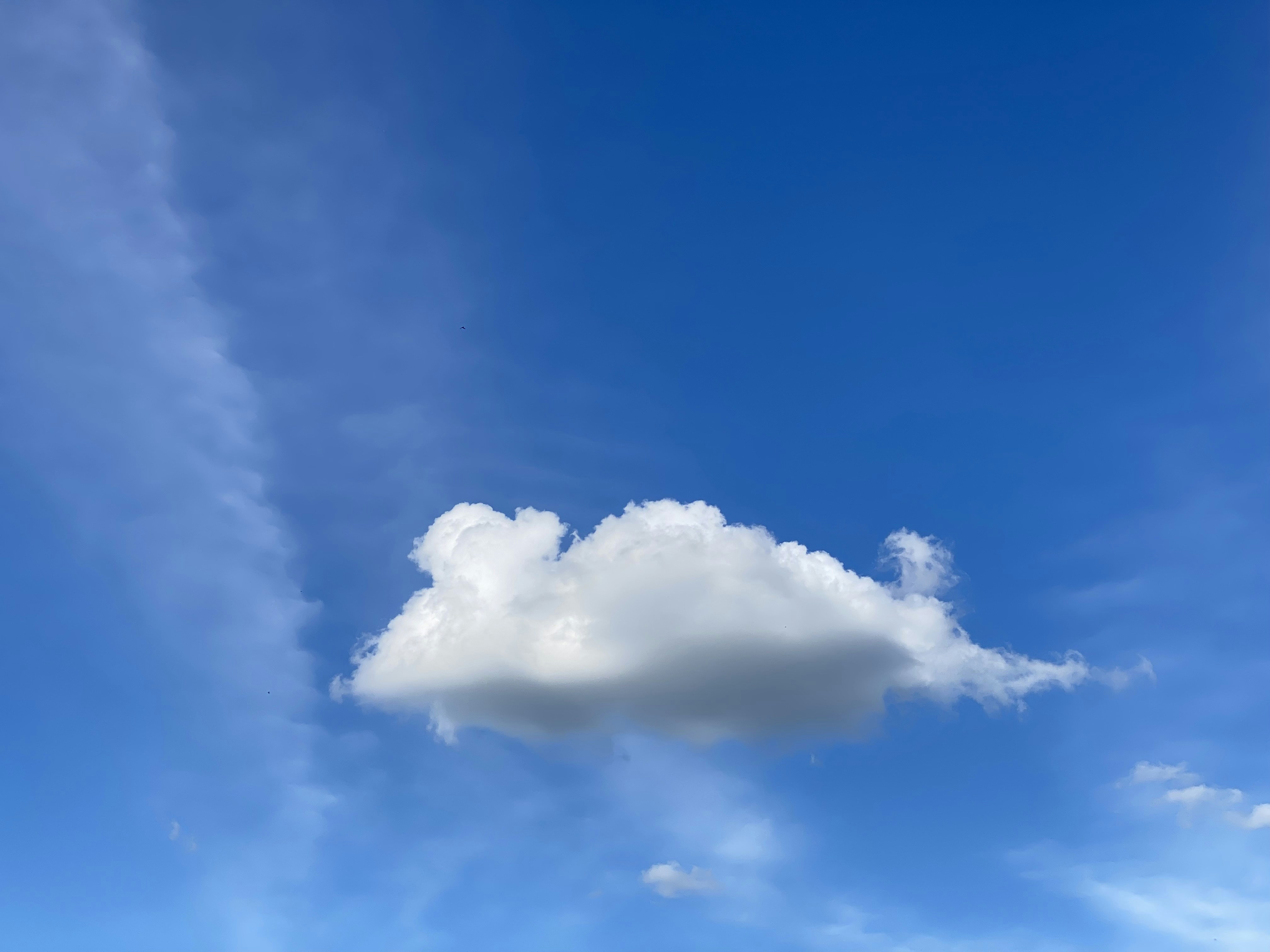 Photo by dannlernenwirschwimmen