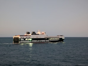 A large ferry sails on the ocean at dusk.
