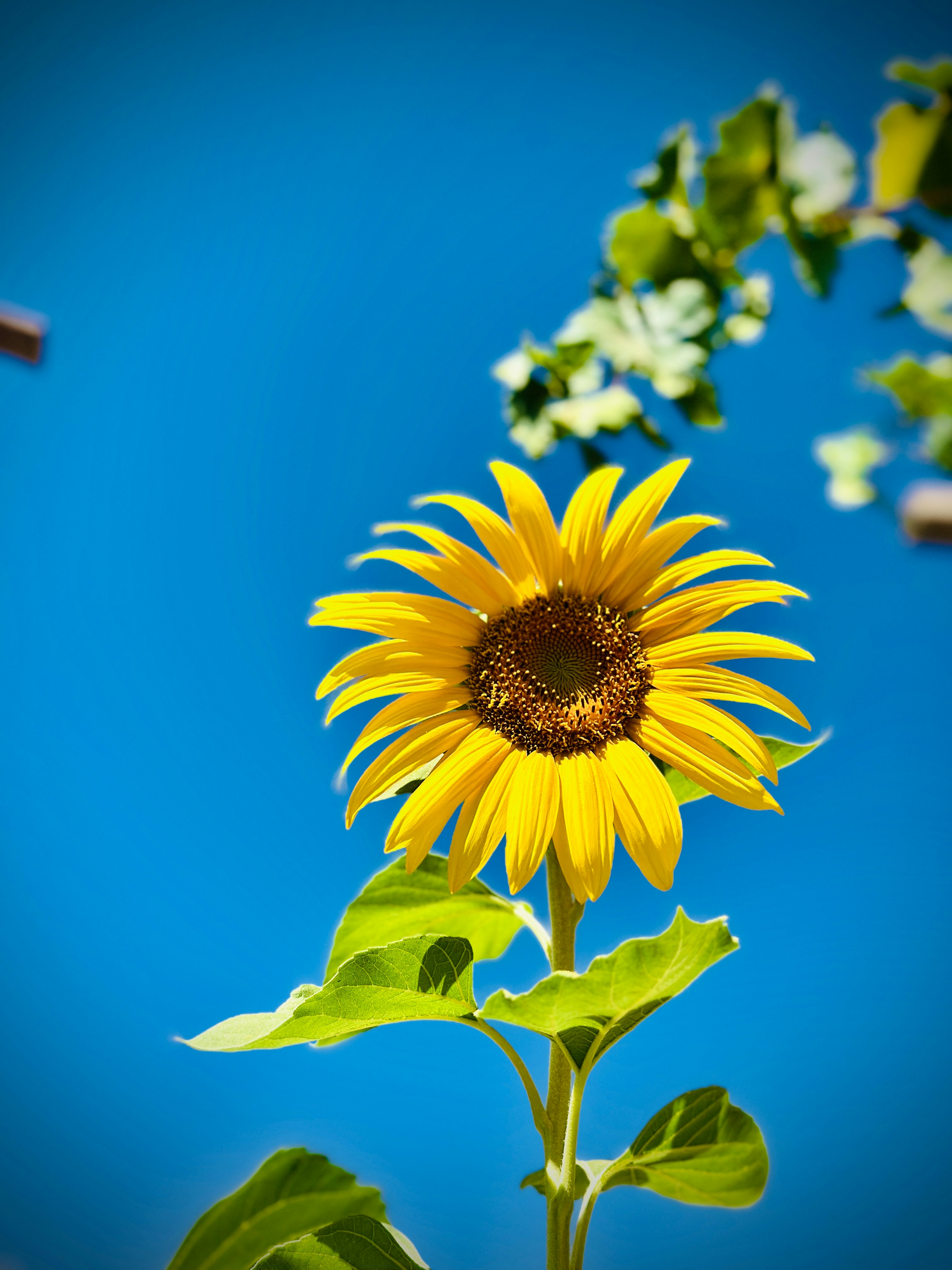 Photo by ali_aghapour