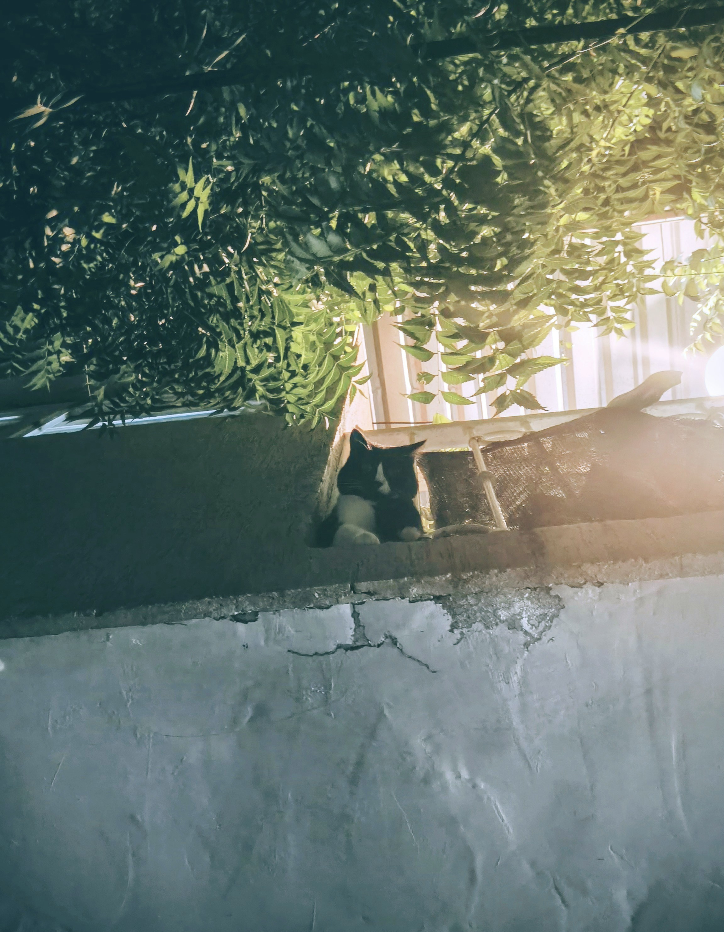 Photo by arq_jgarcia