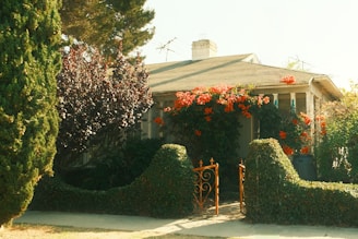 A charming house with blooming red flowers and orange flowers.