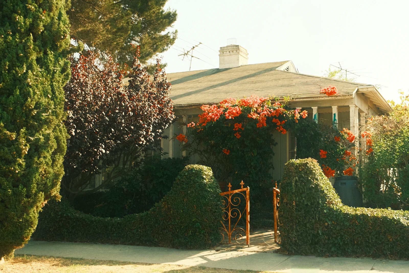 A charming home with red and orange flowers blooming out front.