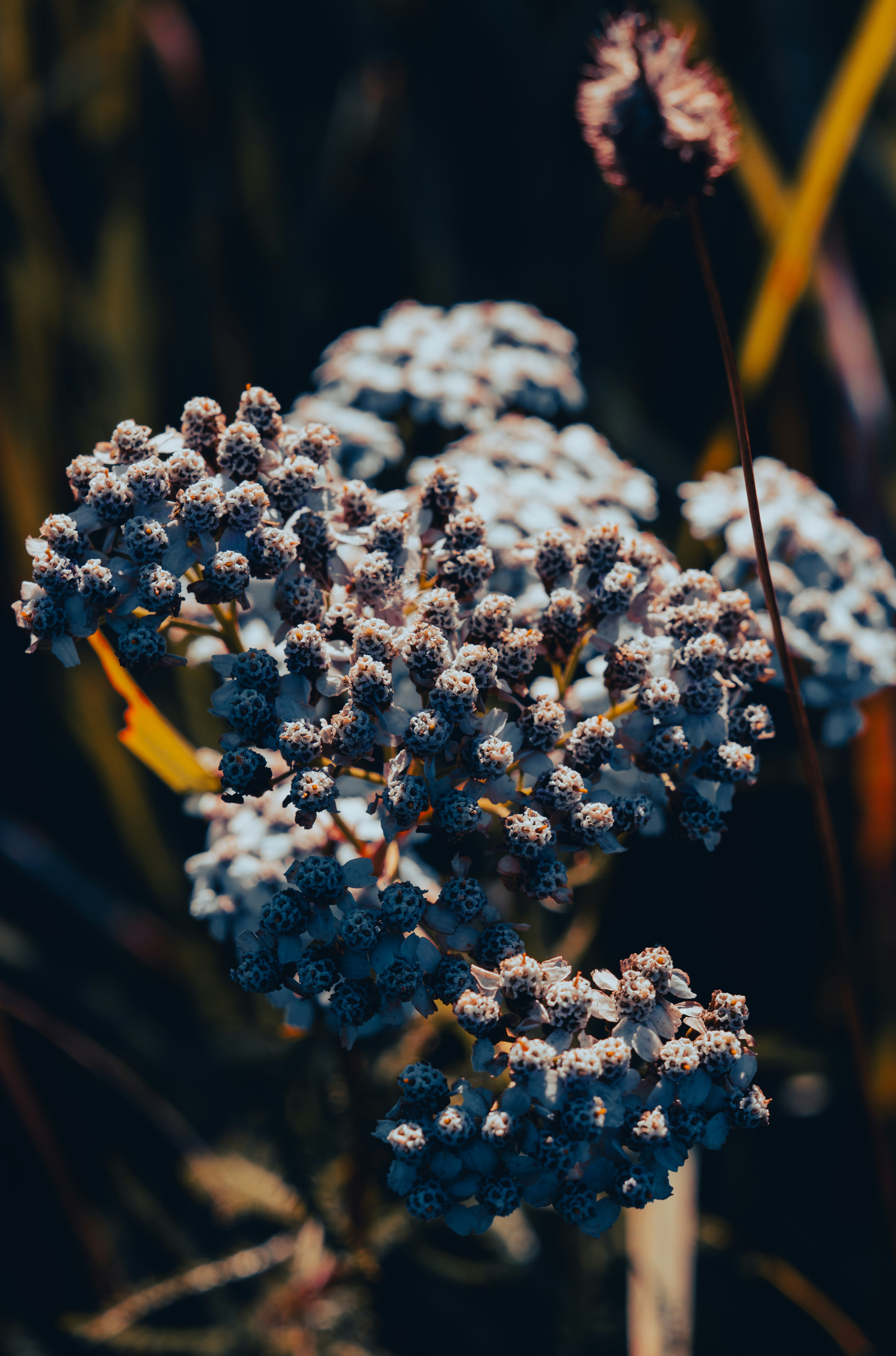 Photo by hellaren