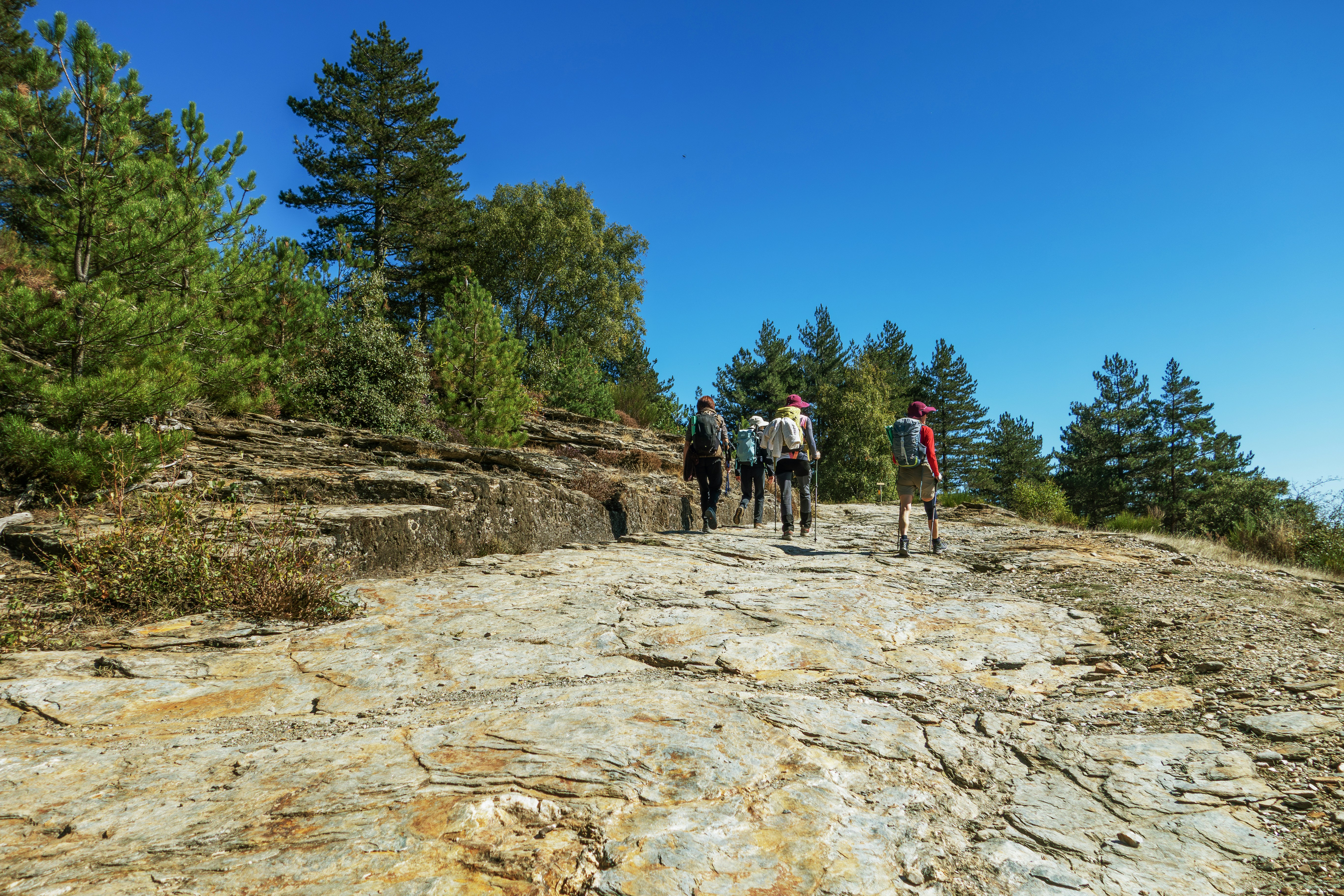 Top Cities for Street‑Book Markets and Literary Festivals to Visit in 2026 — Weekend Edition