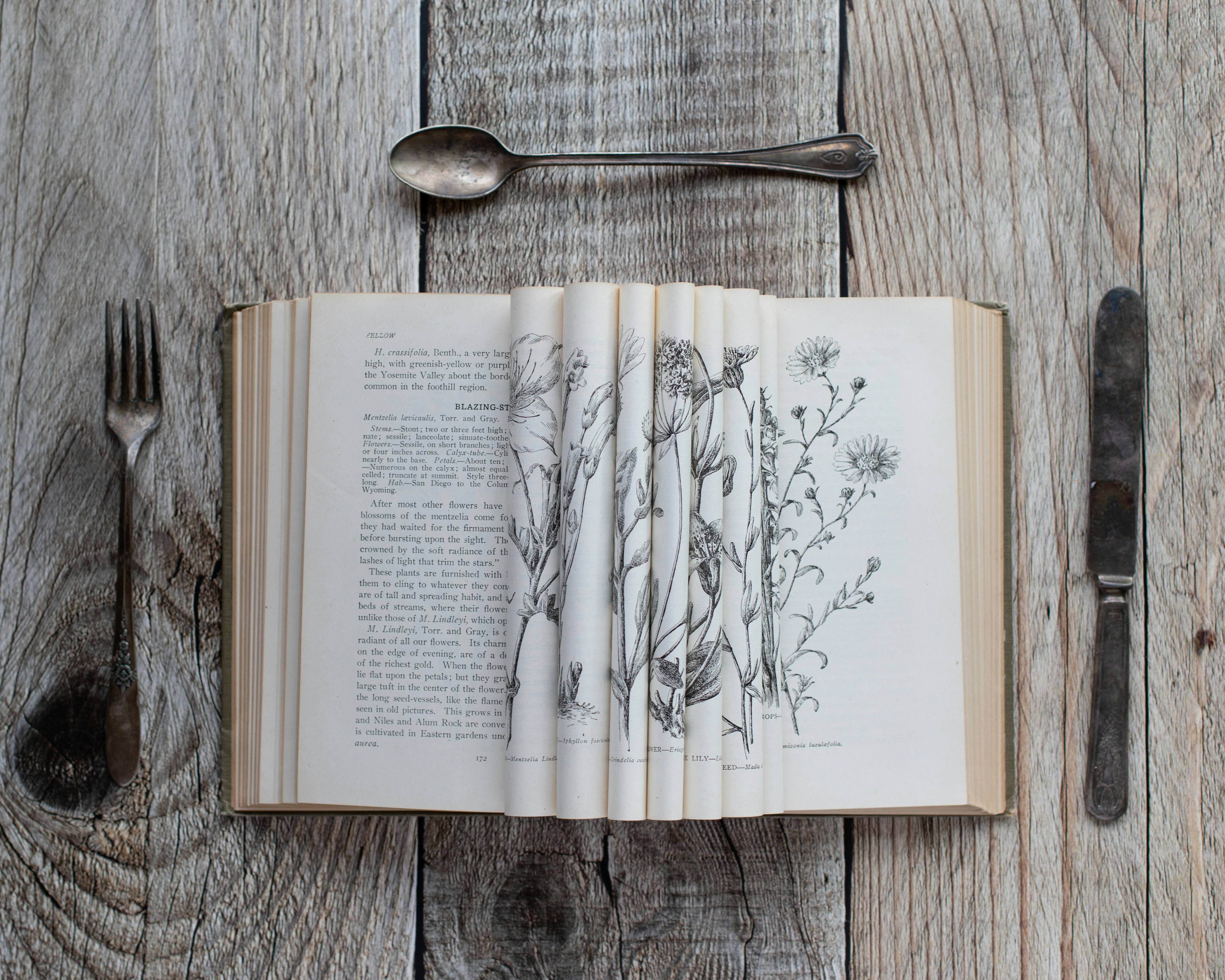 Photo by sixteenmilesout