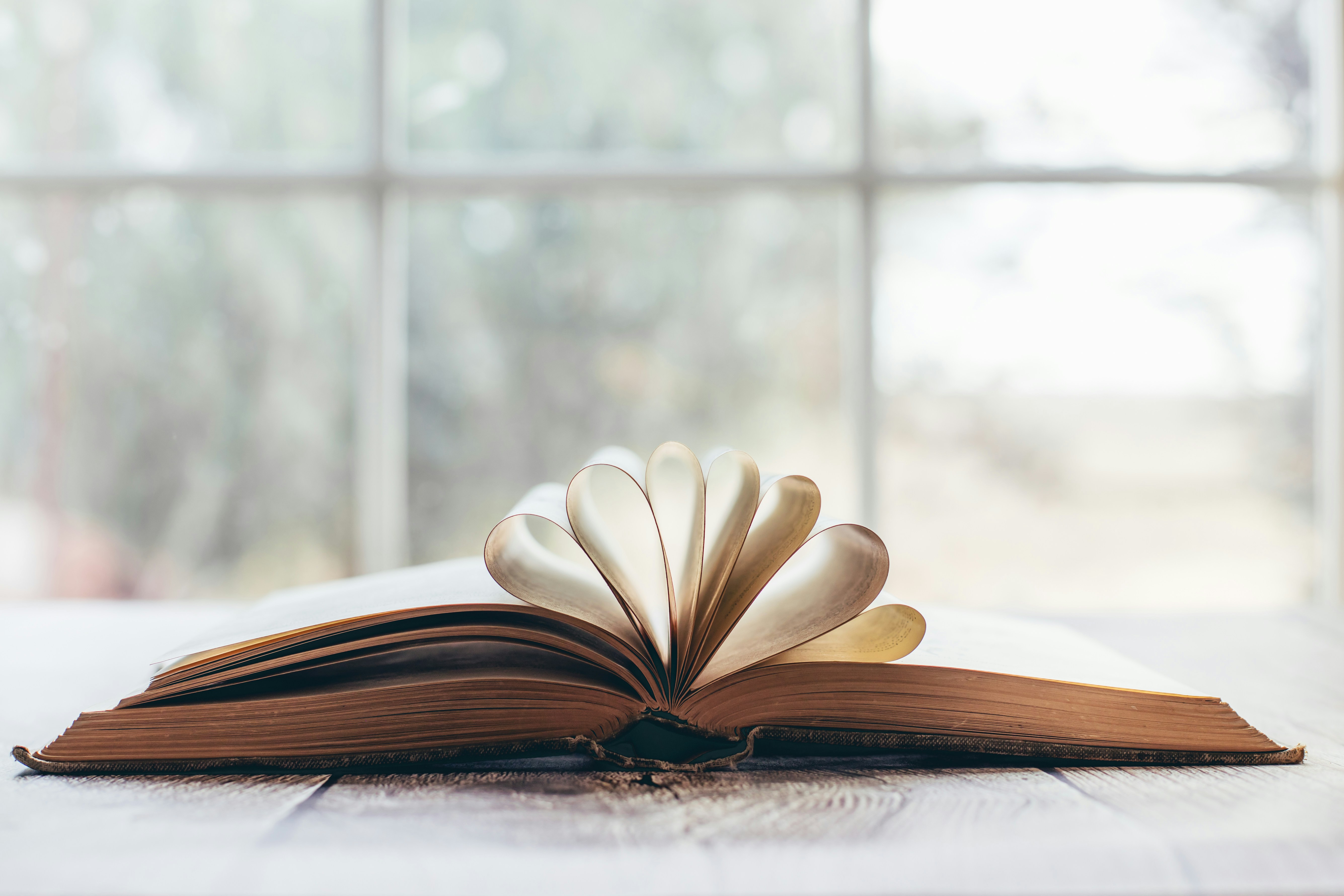 Open book by a sunny window