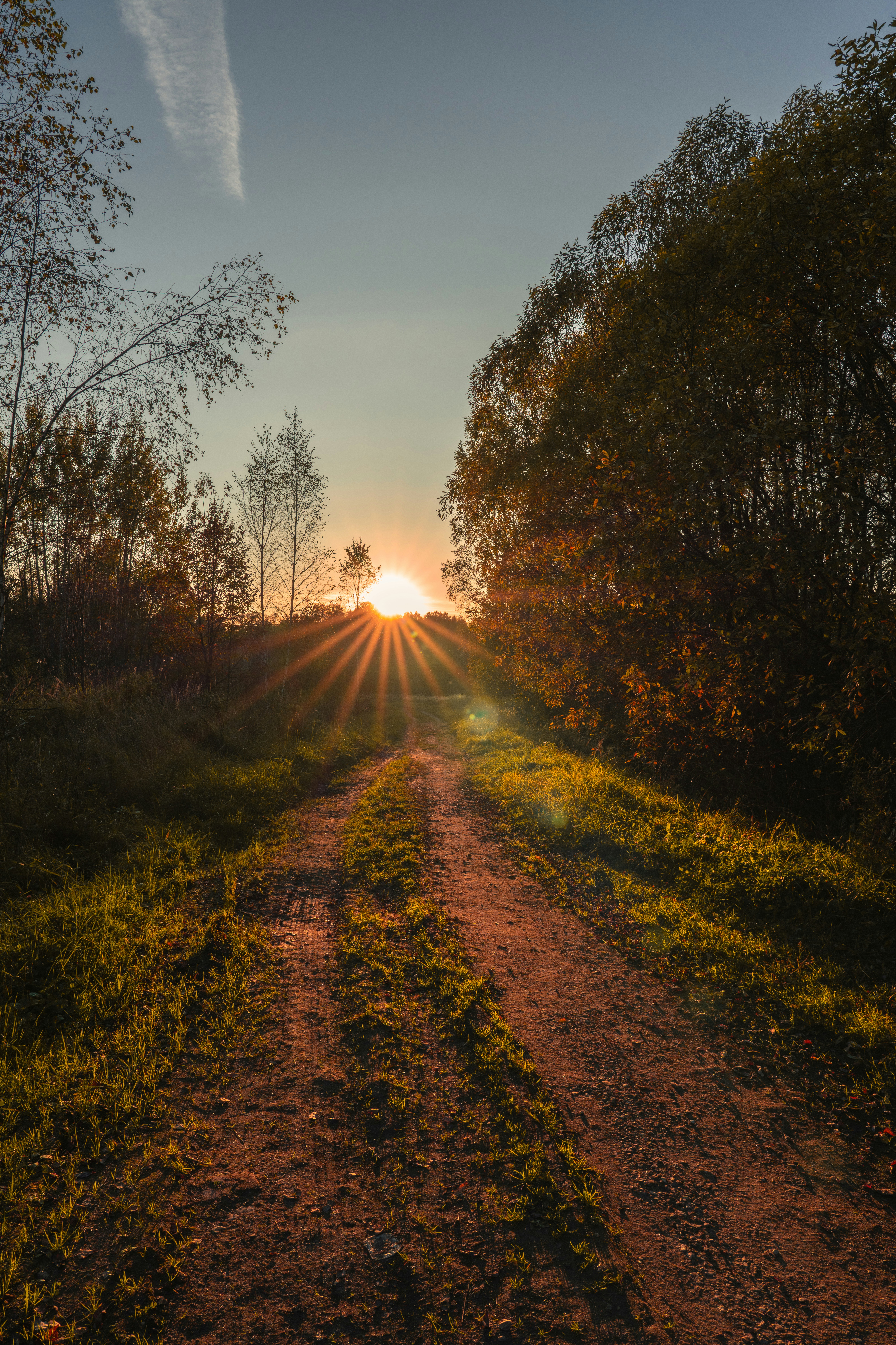 Sun setting over a dirt path through trees