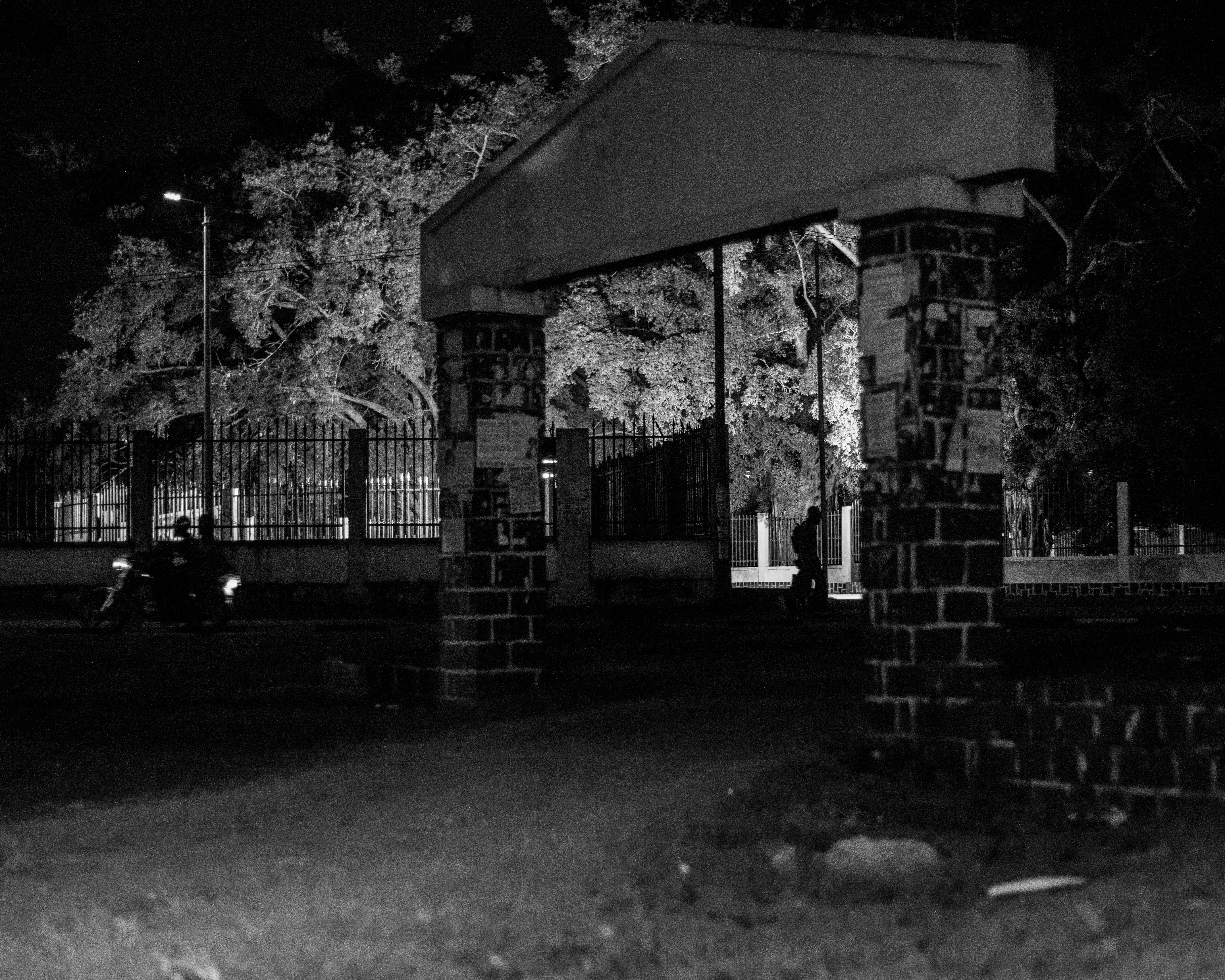 Photo by christdivin