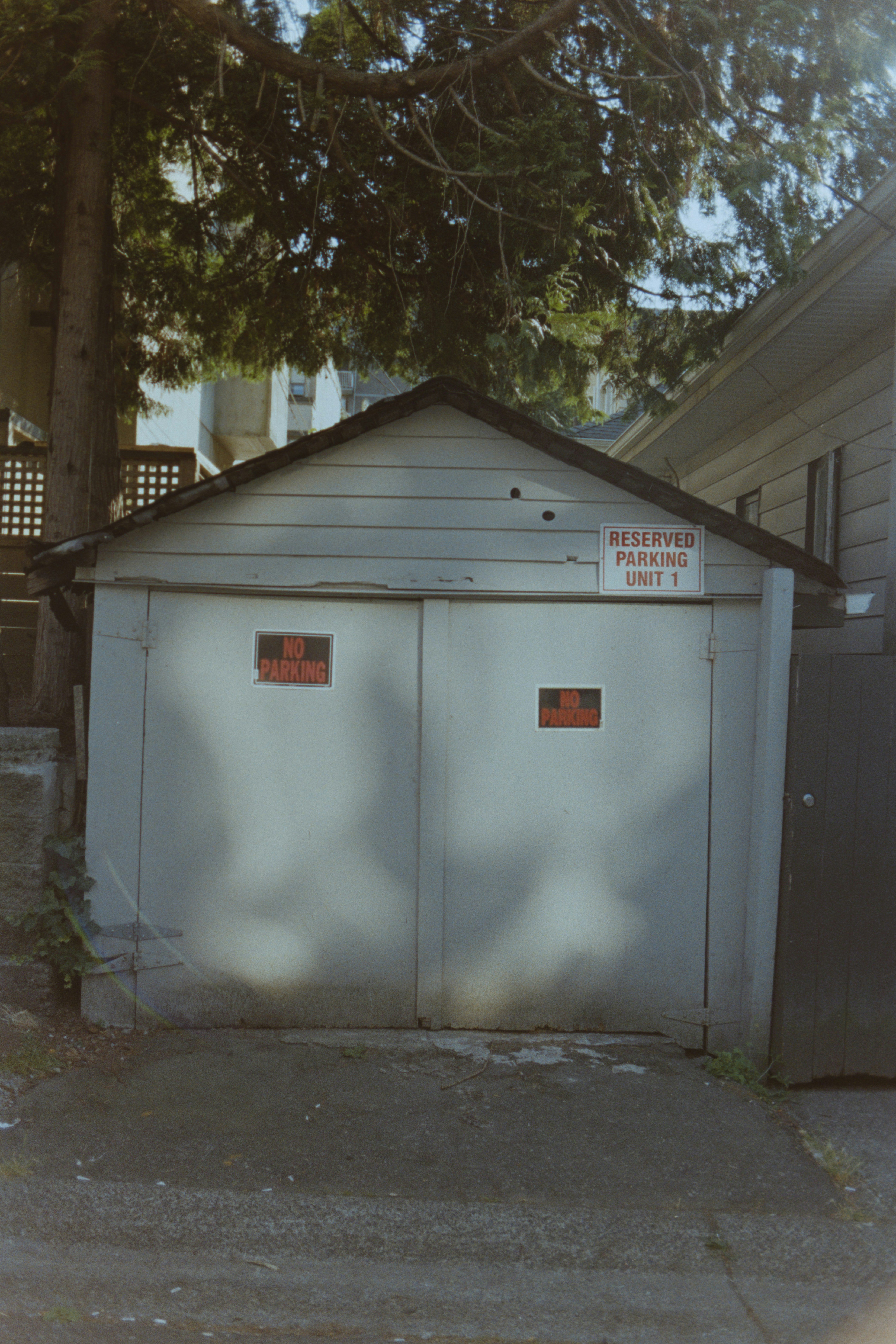 Photo by albertstoynov