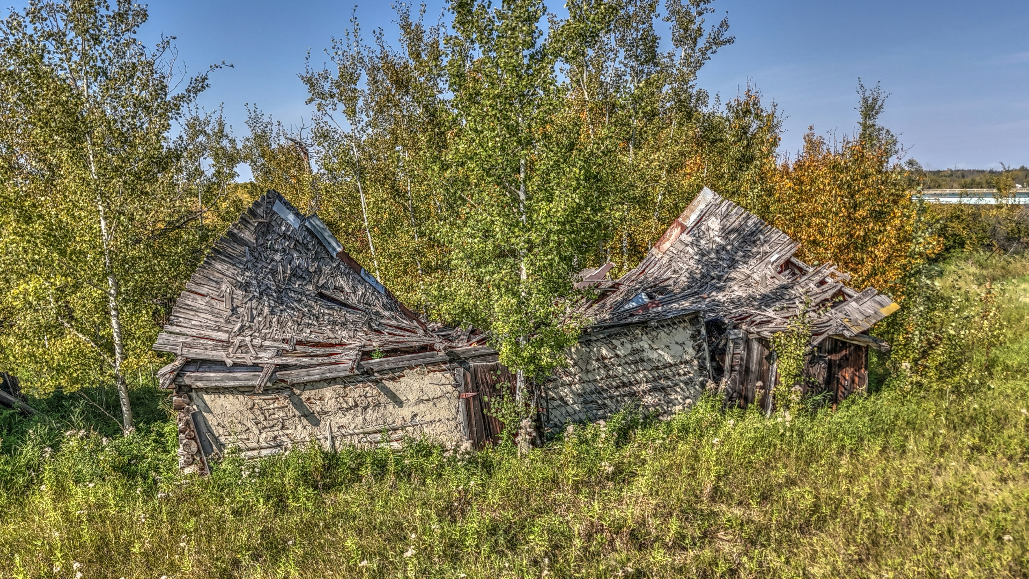 Two dilapidated wooden cabins overgrown with vegetation.