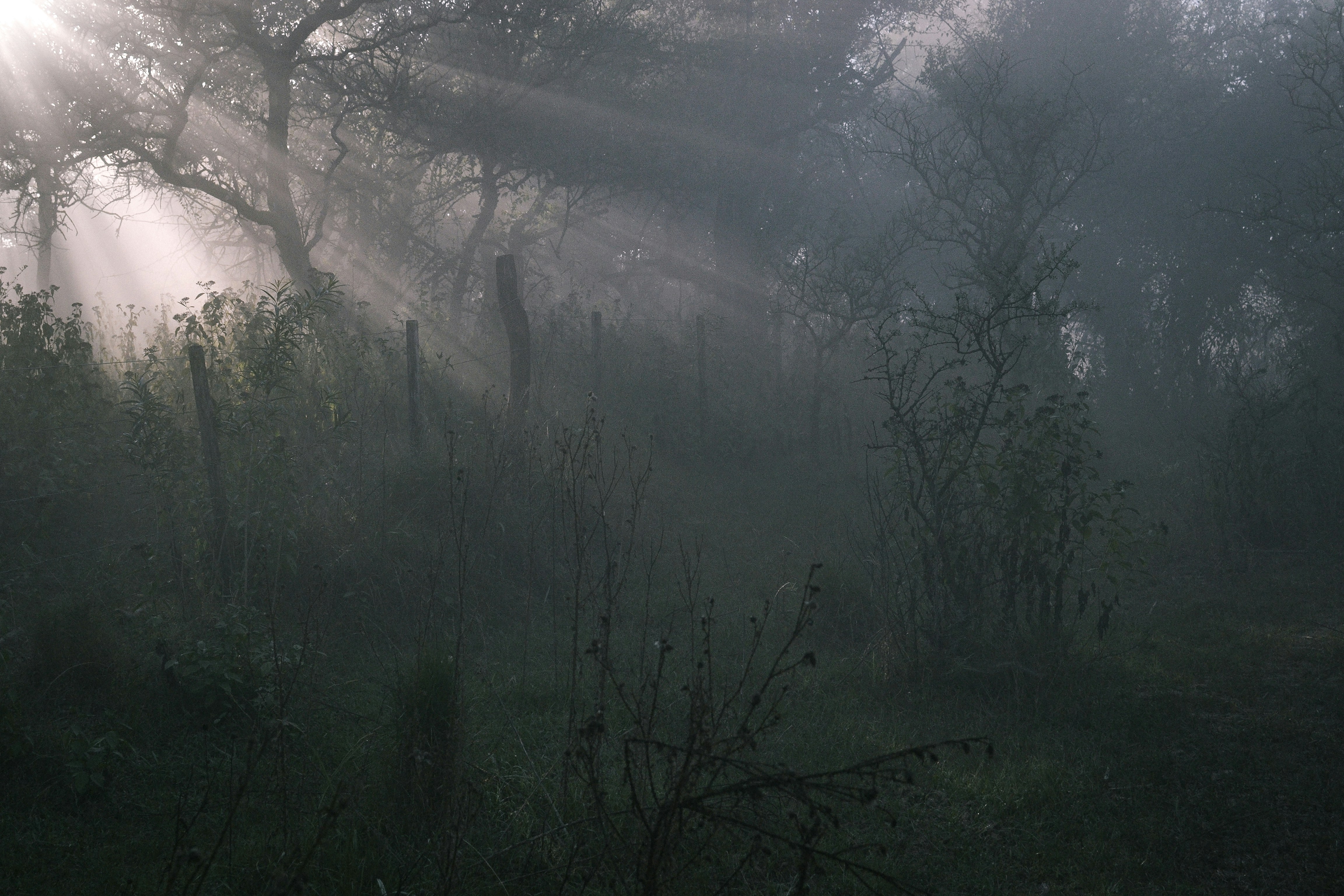 Photo by matdelpidio