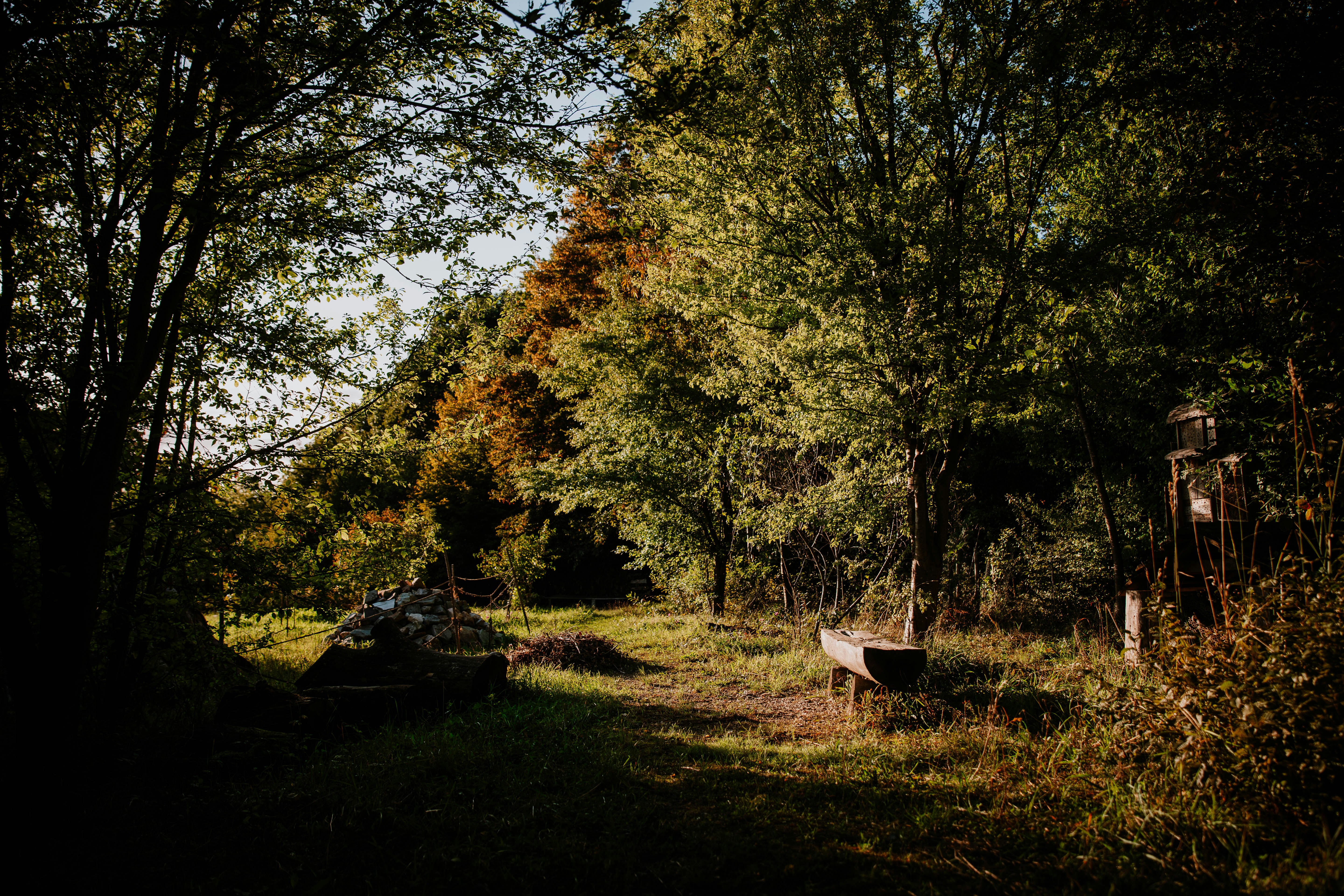 Photo by dmmaksimiuk