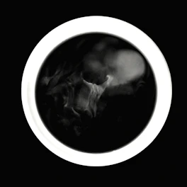 Dark abstract smoky swirls within a white circle