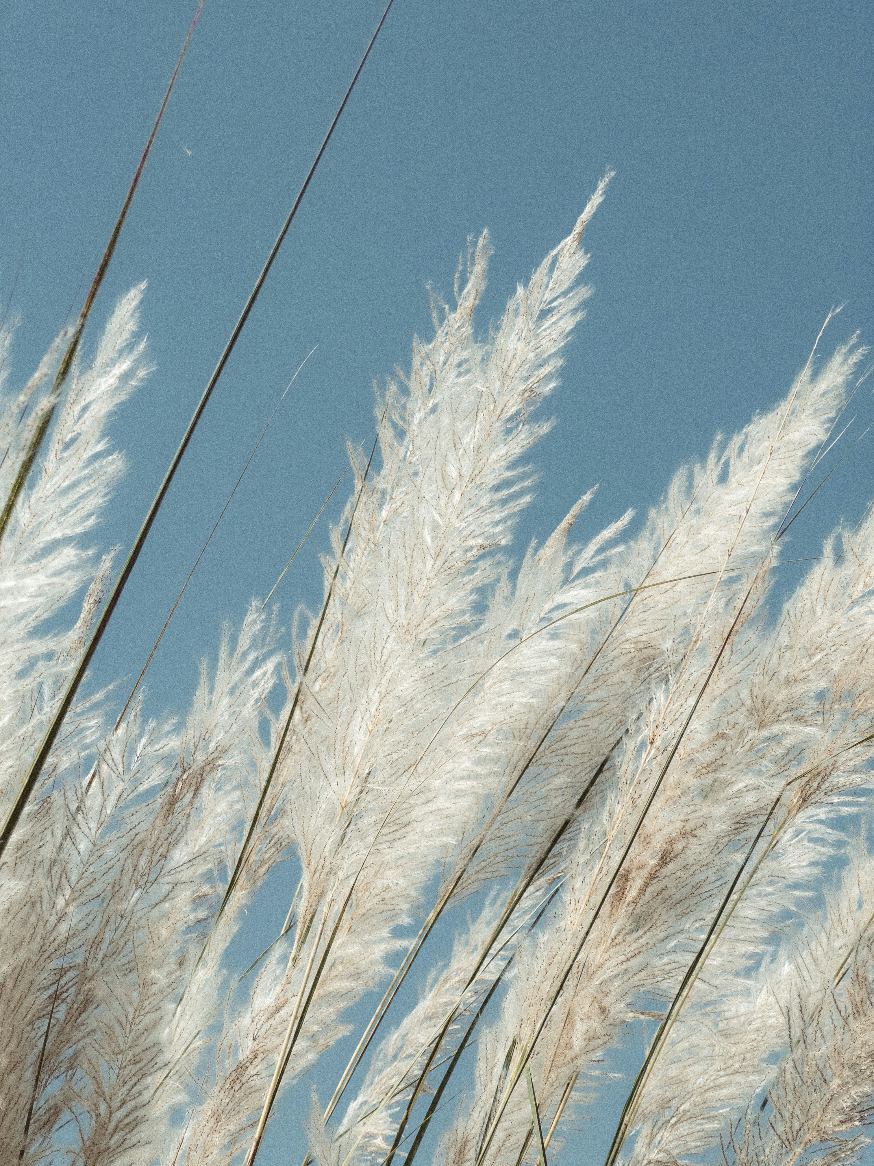 Photo by aayush_khokhar