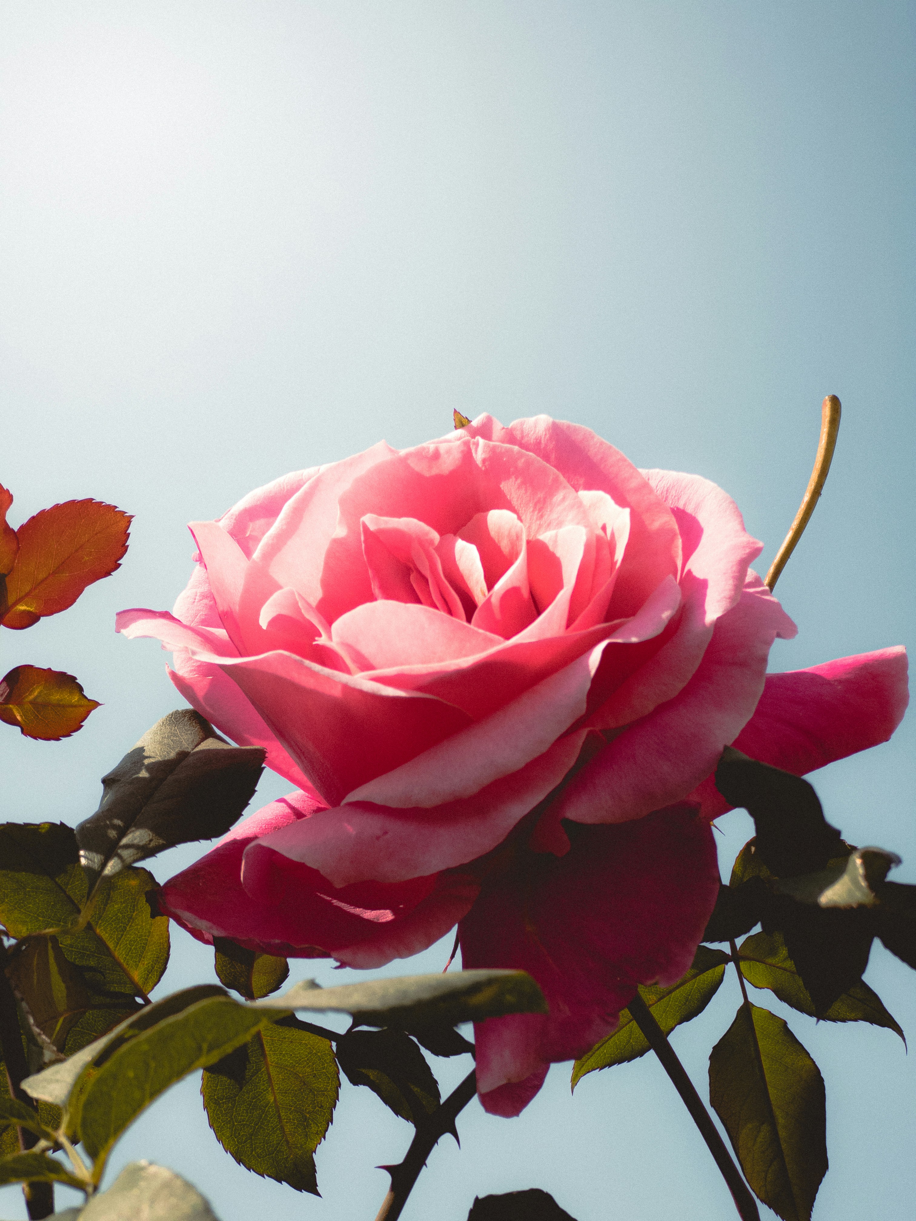 Photo by aayush_khokhar