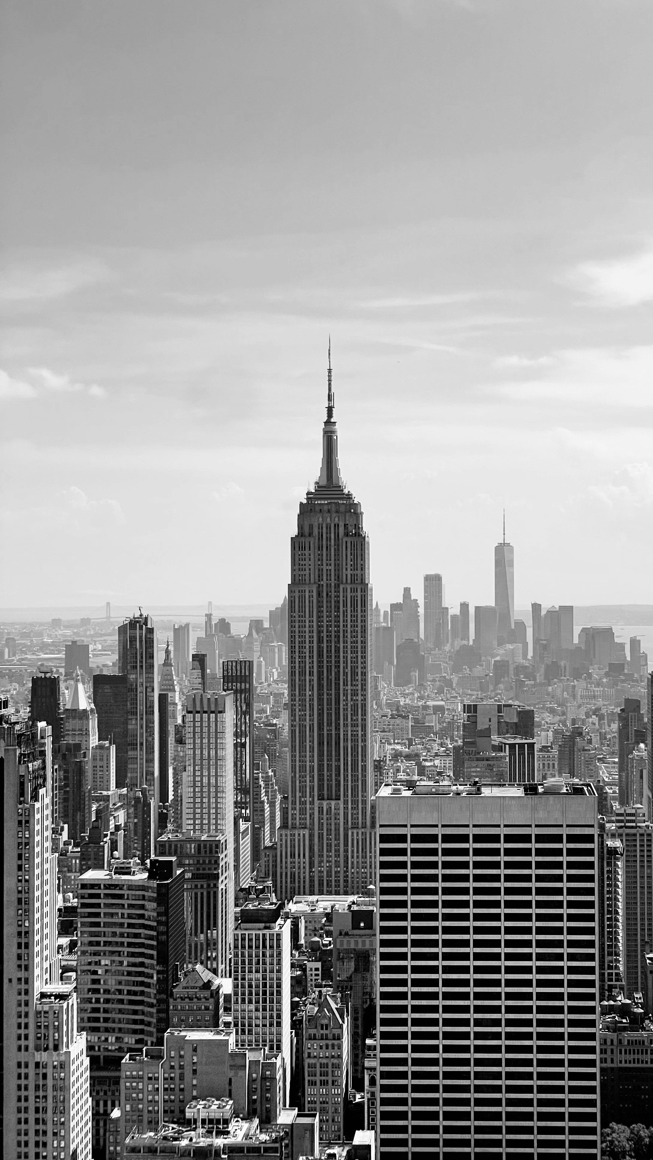 Photo by remi_wigzell