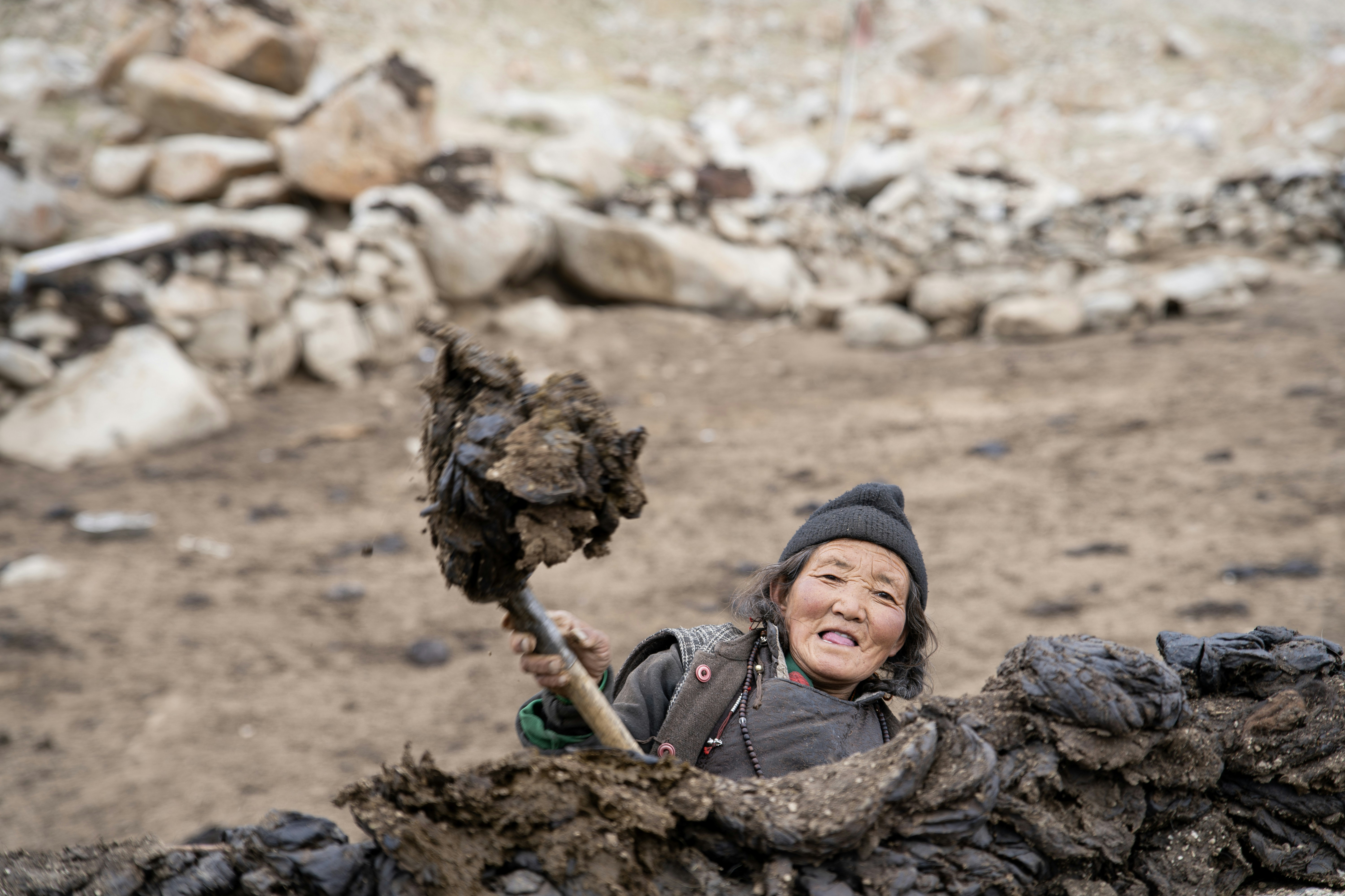 Elderly woman holding dried dung for fuel