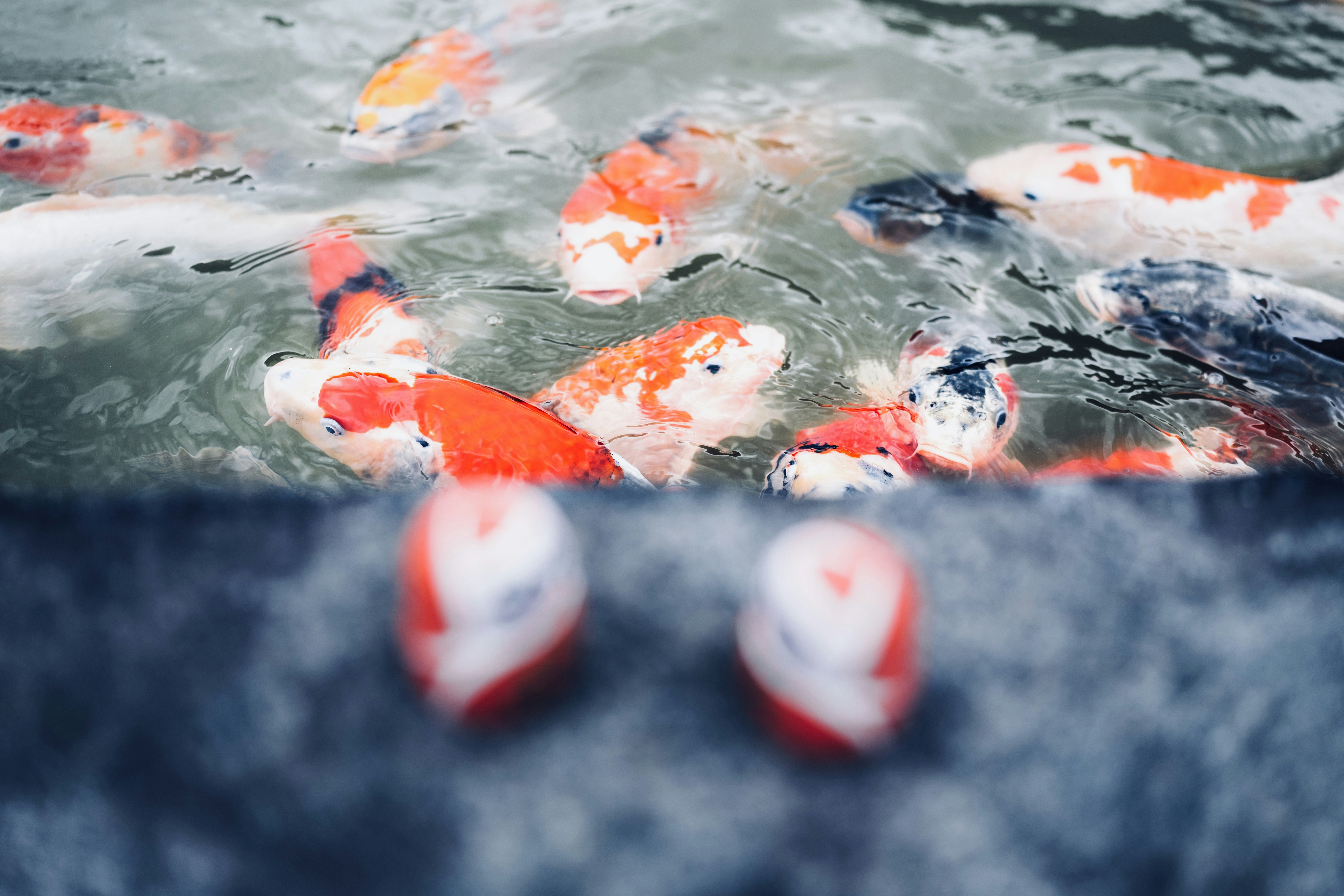 Photo by wenhao_ruan