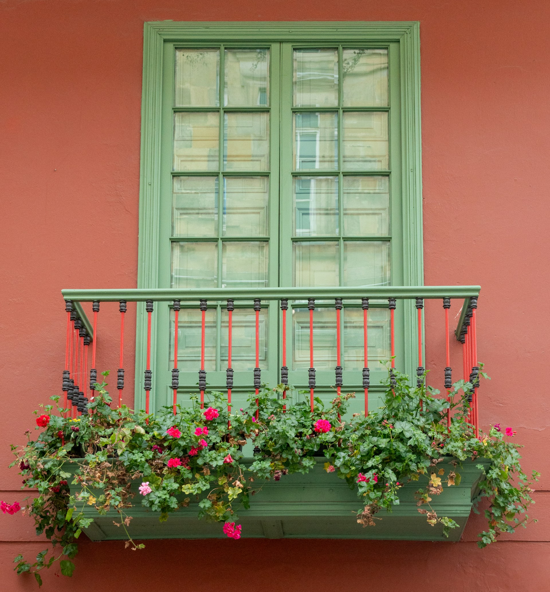 Green balcony window with blooming flowers