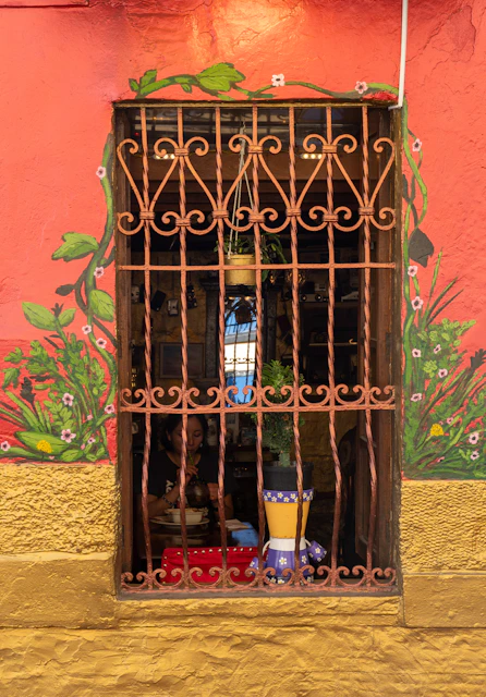 Ornate metal window grate on a red wall