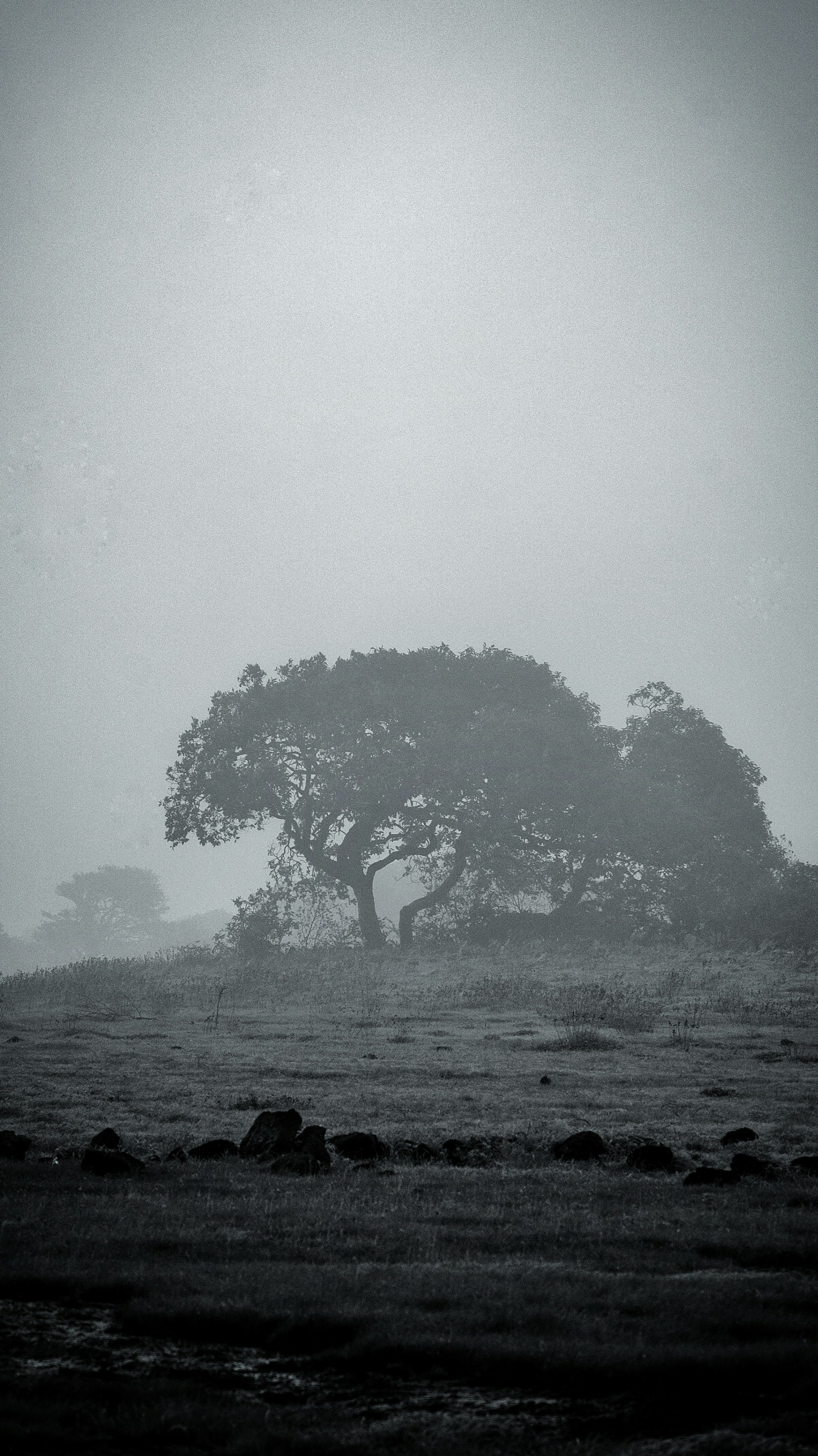 Photo by clickoffbeat_144