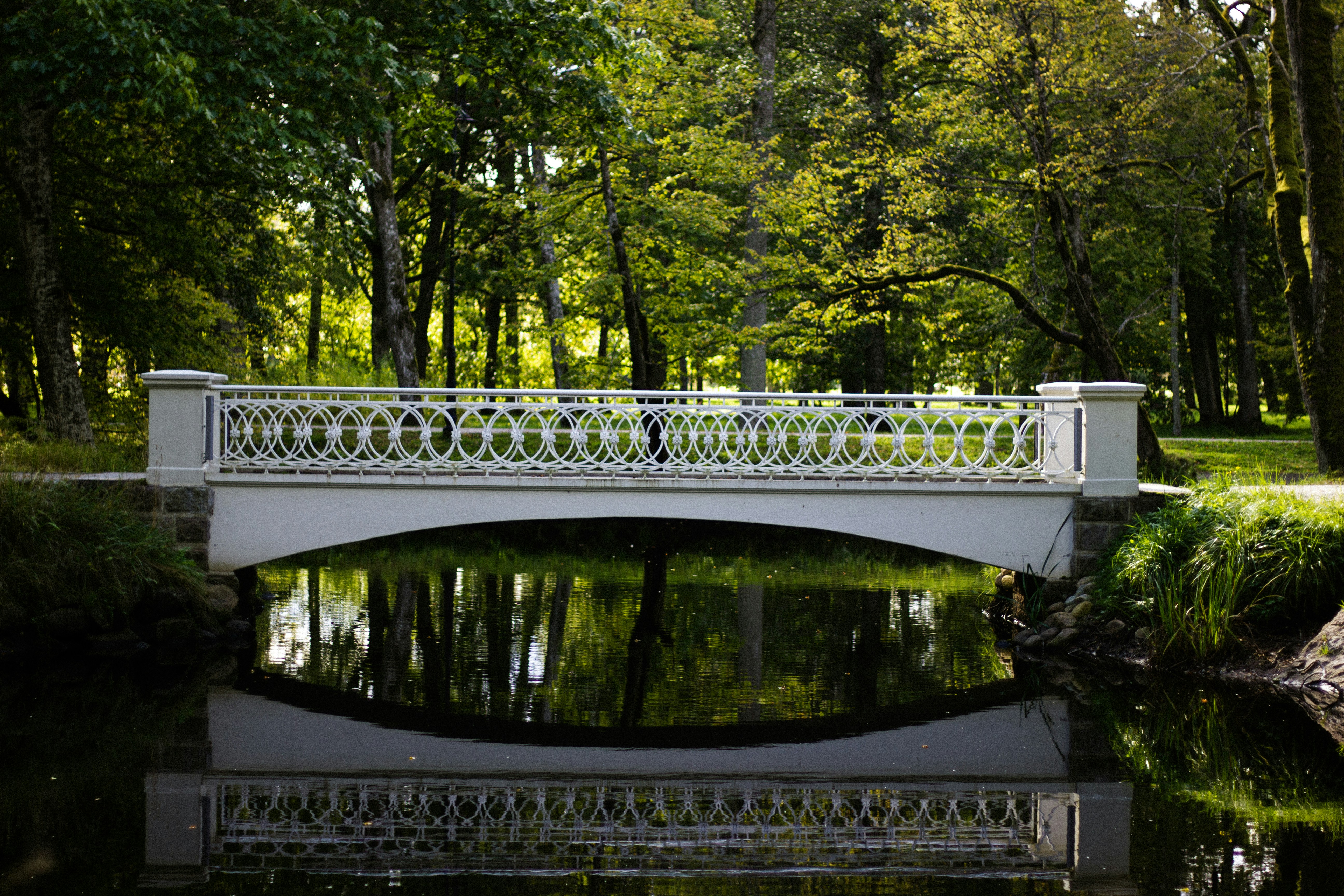 Photo by reinisbruzitis