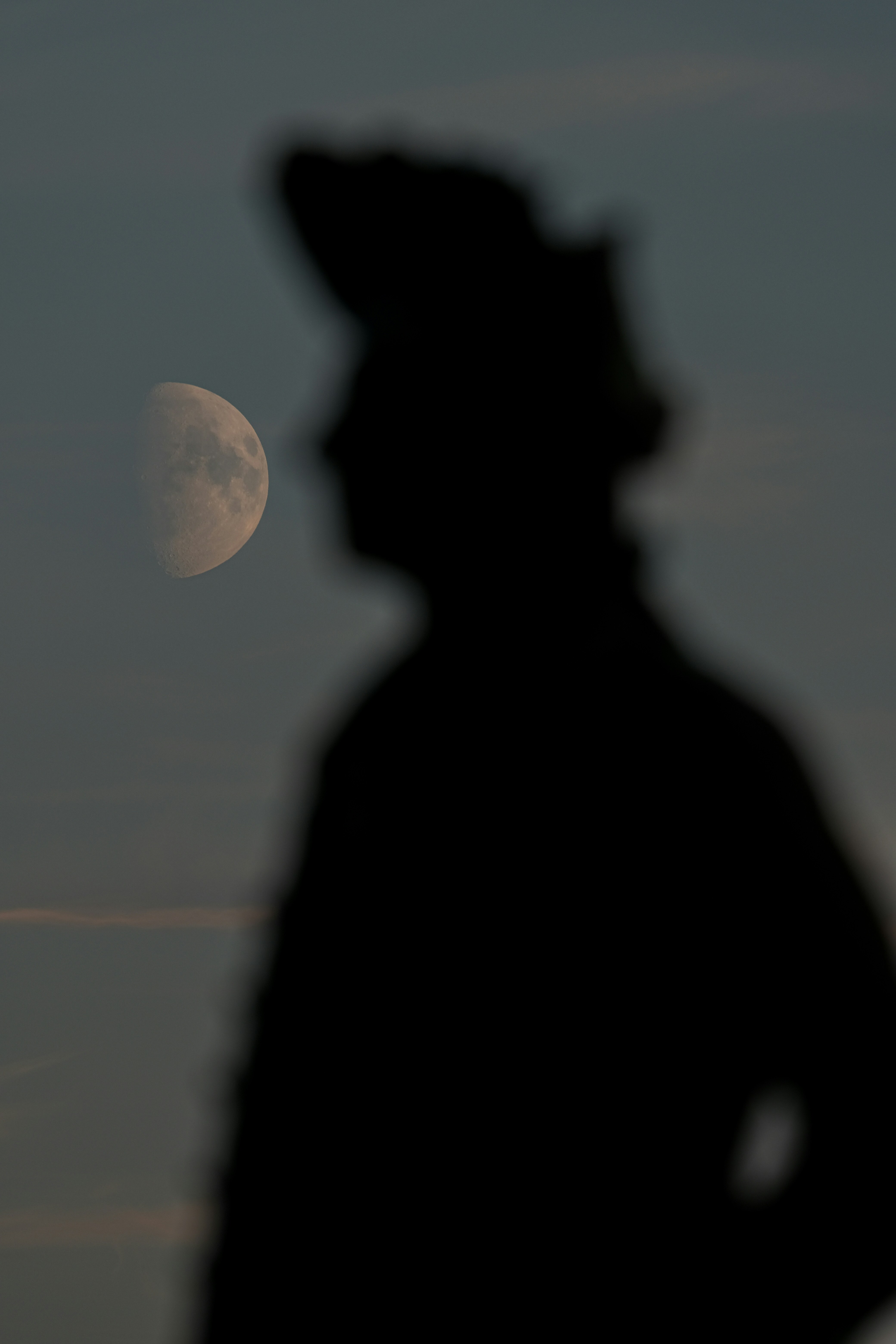Silhouette of a person against the moon